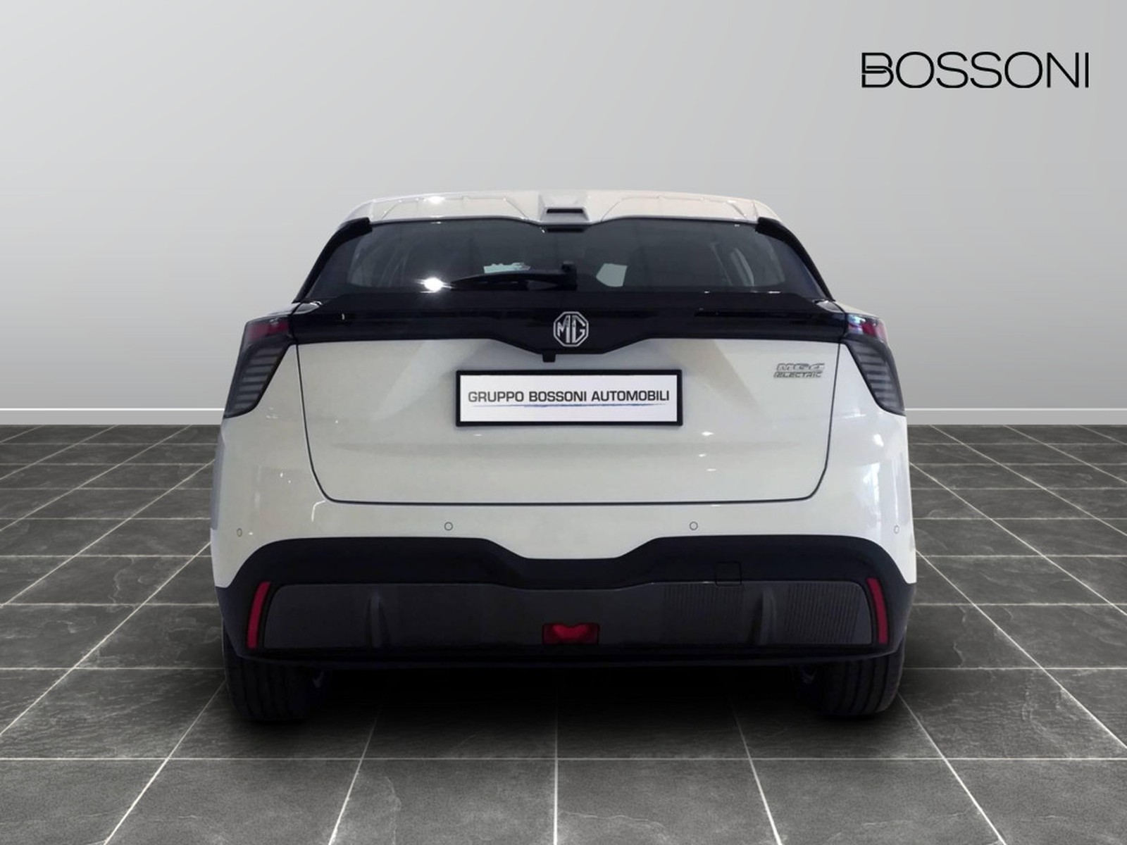 6 - Mg MG4 standard49