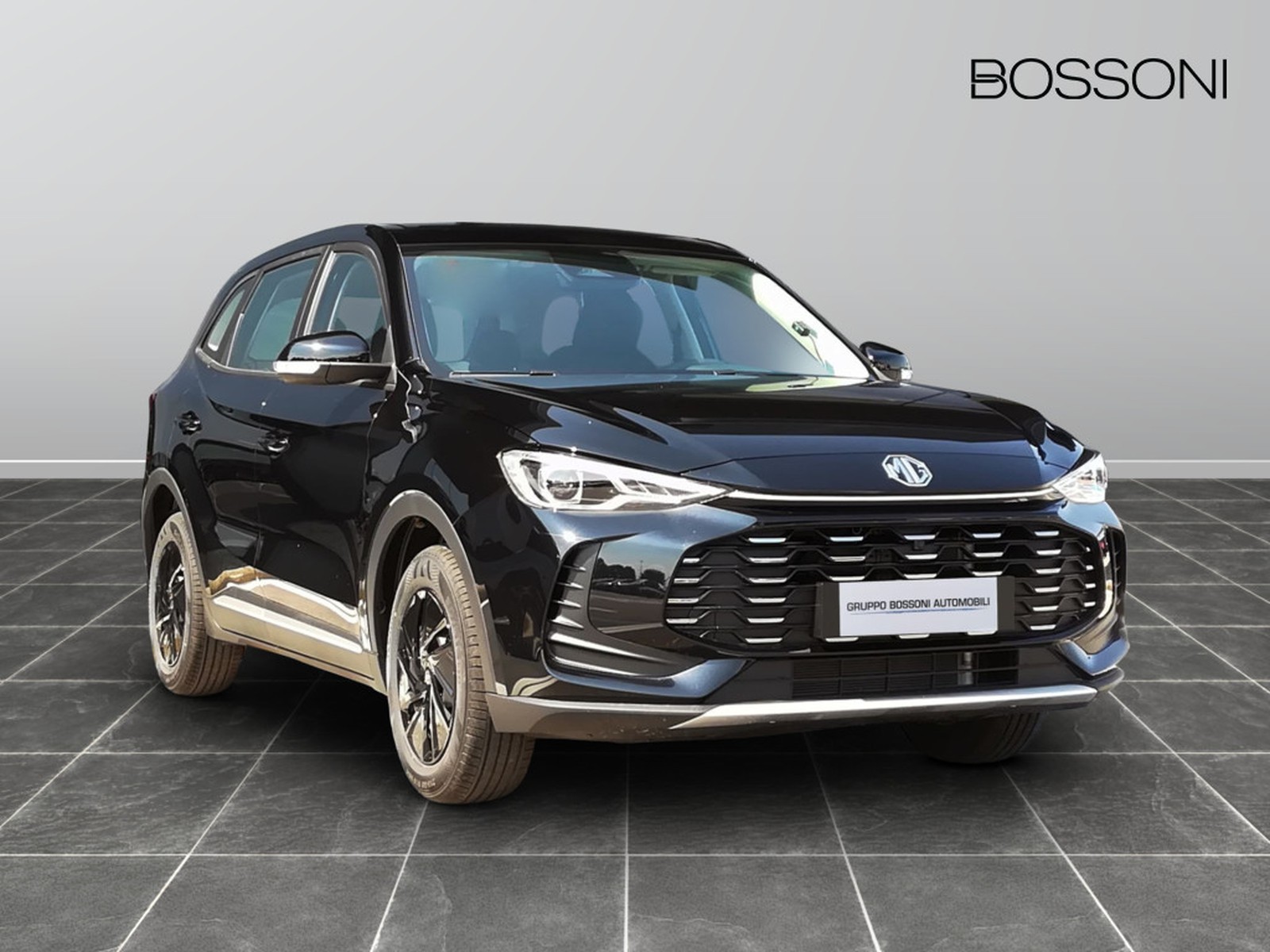 3 - Mg ZS 1.5 standard