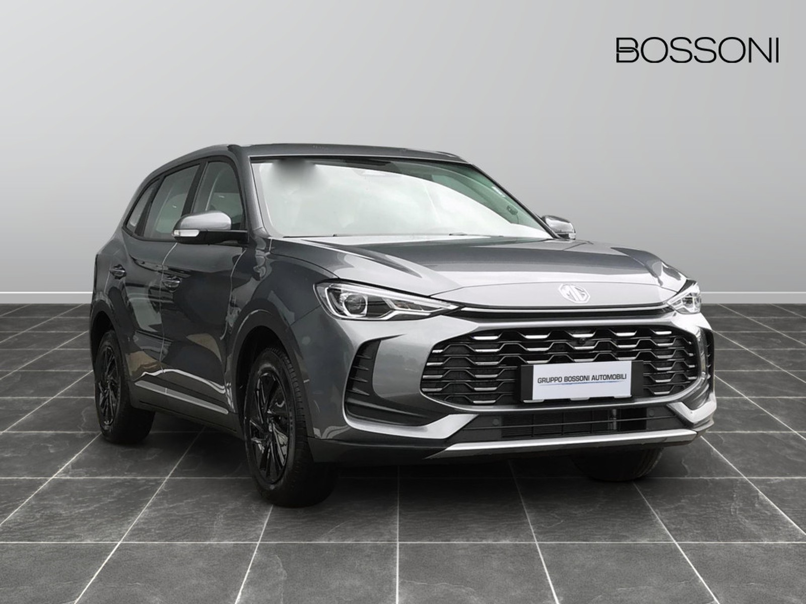 3 - Mg ZS 1.5 standard