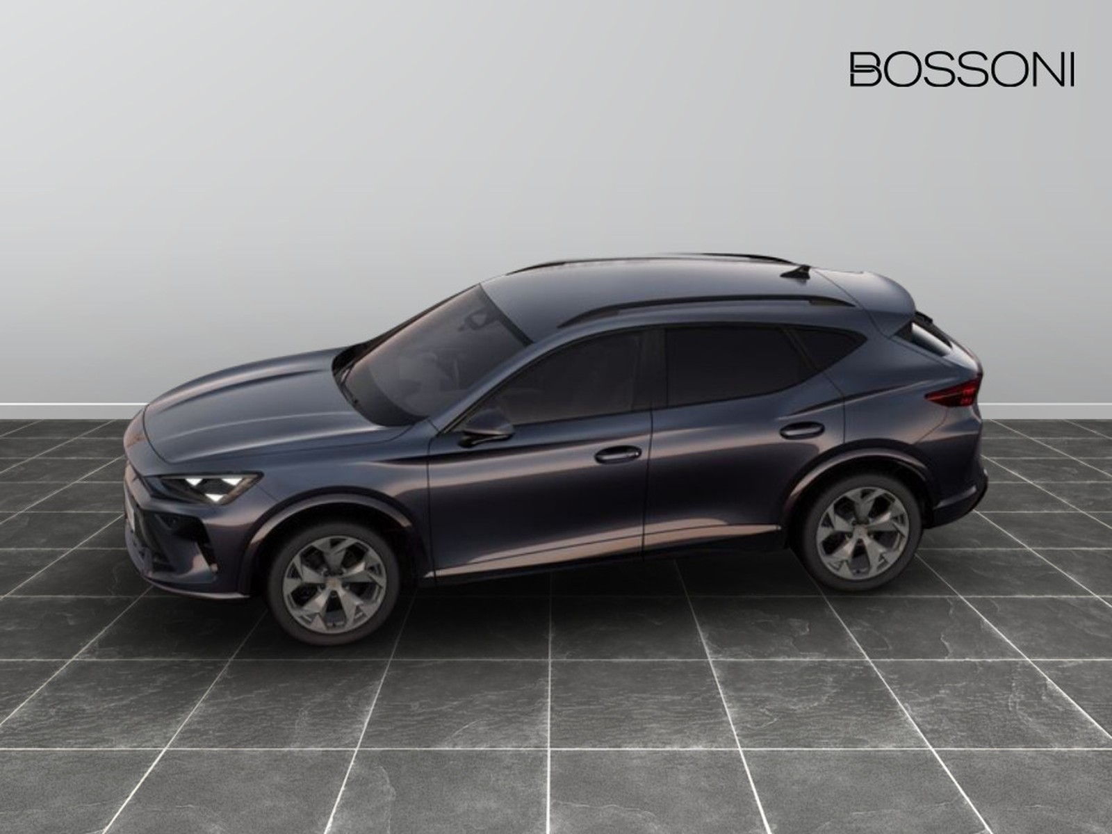 10 - Cupra Formentor 2.0 tdi 150cv dsg