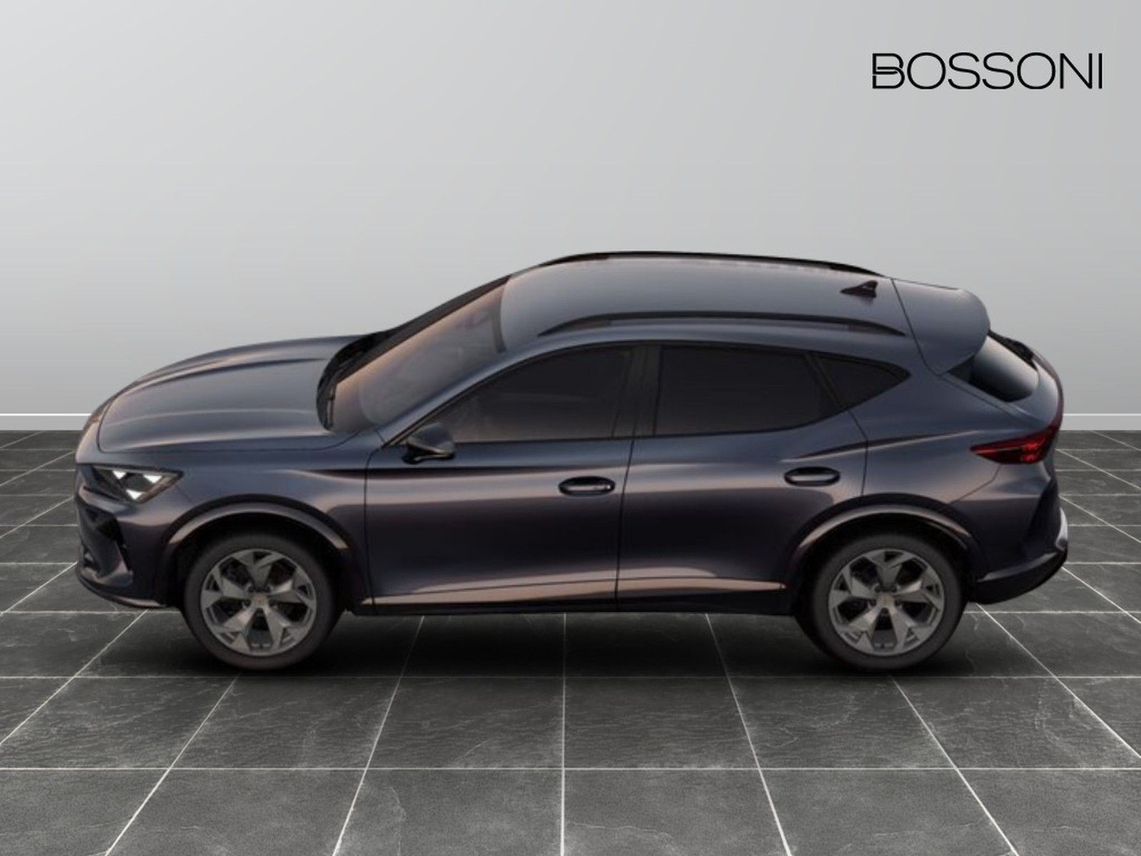 11 - Cupra Formentor 2.0 tdi 150cv dsg