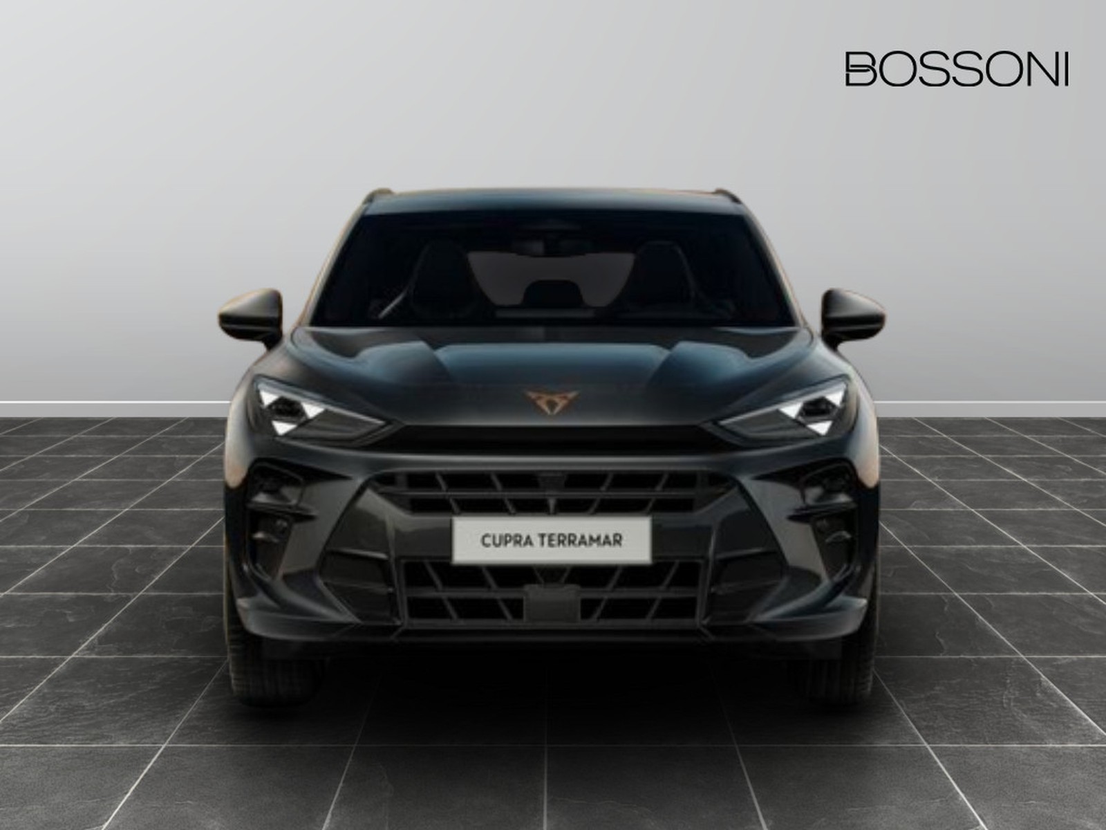 3 - Cupra Terramar 1.5 hybrid 150cv