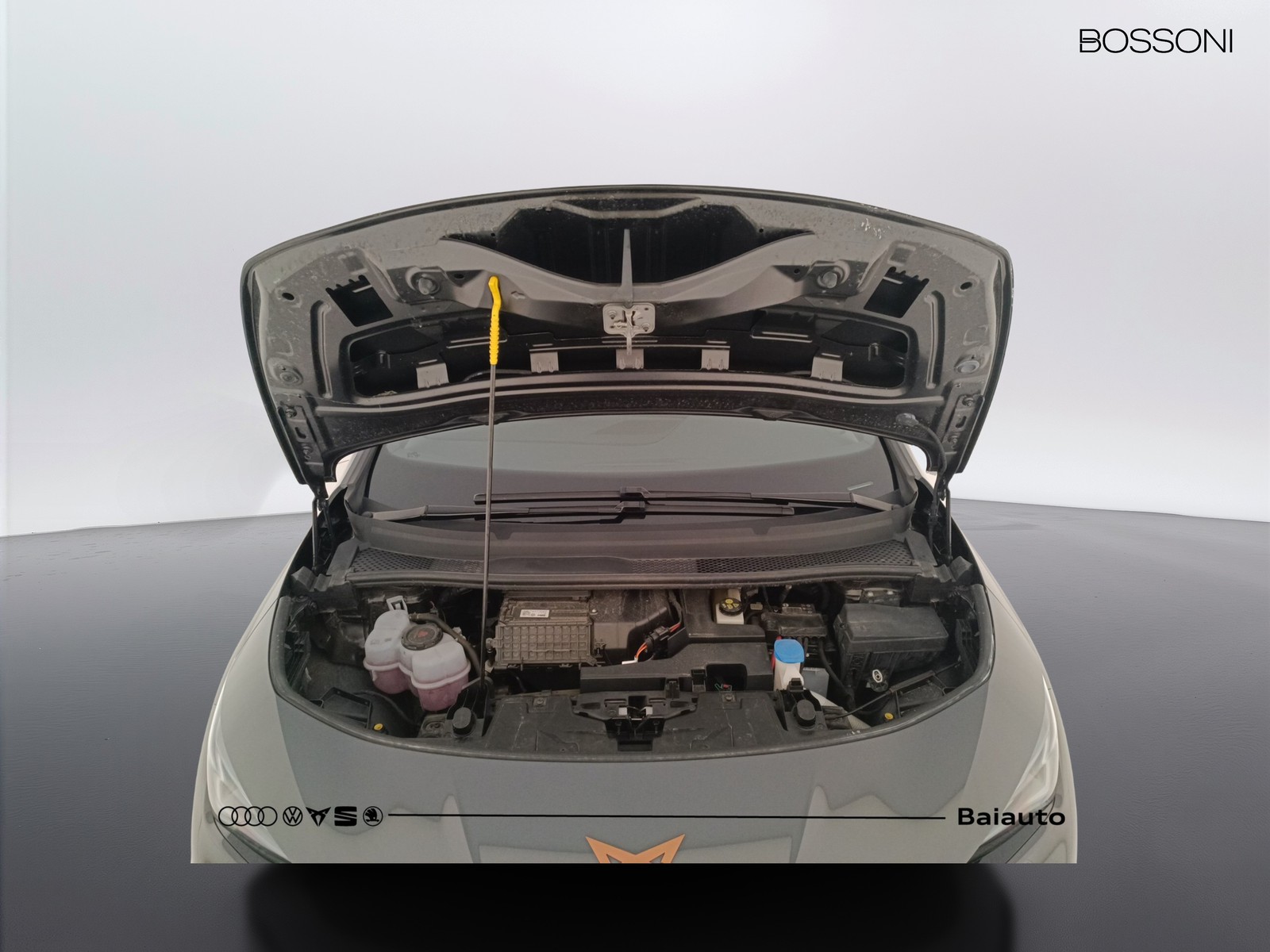 29 - Cupra Born 58kwh