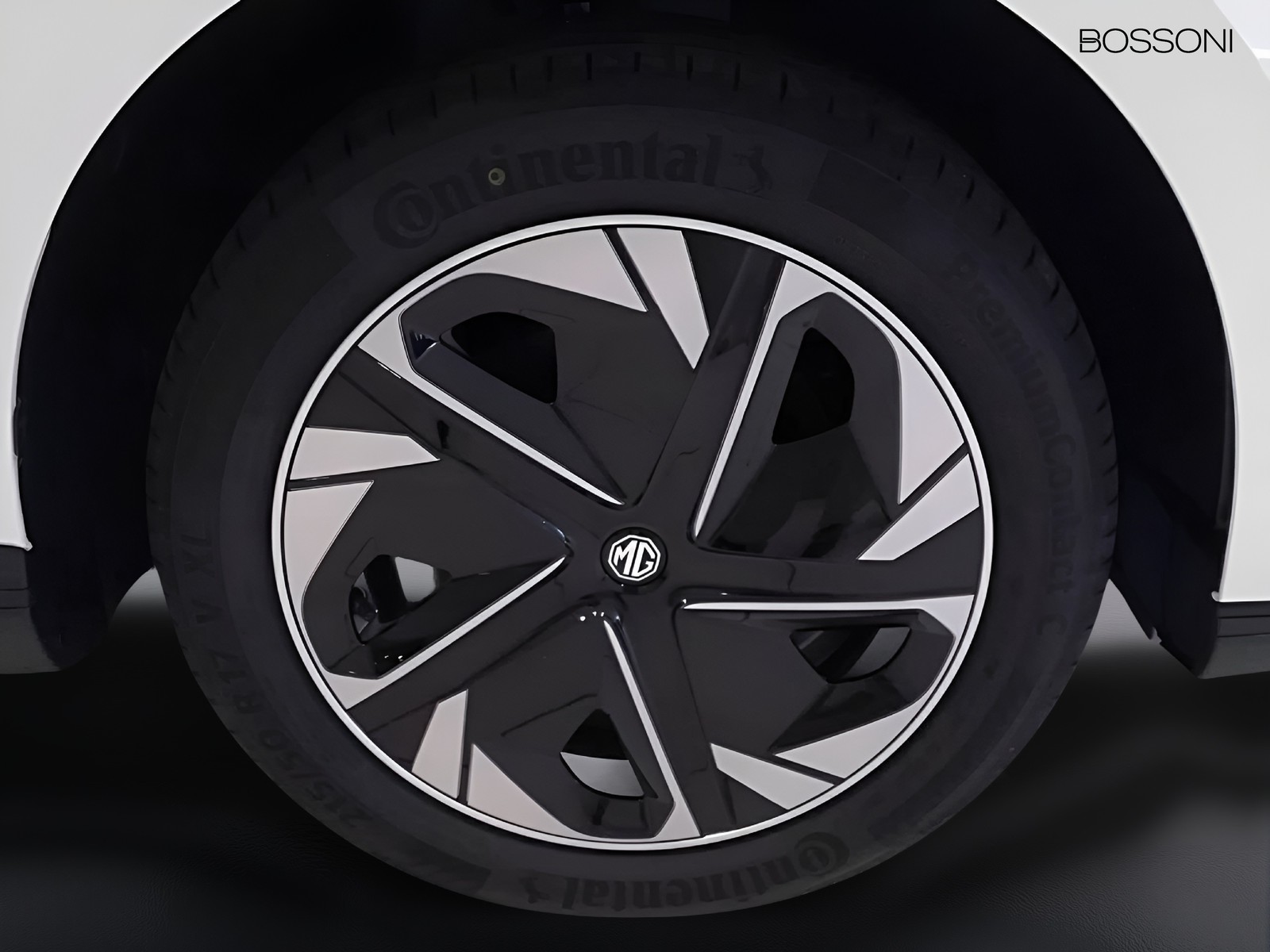 18 - Mg MG4 standard49