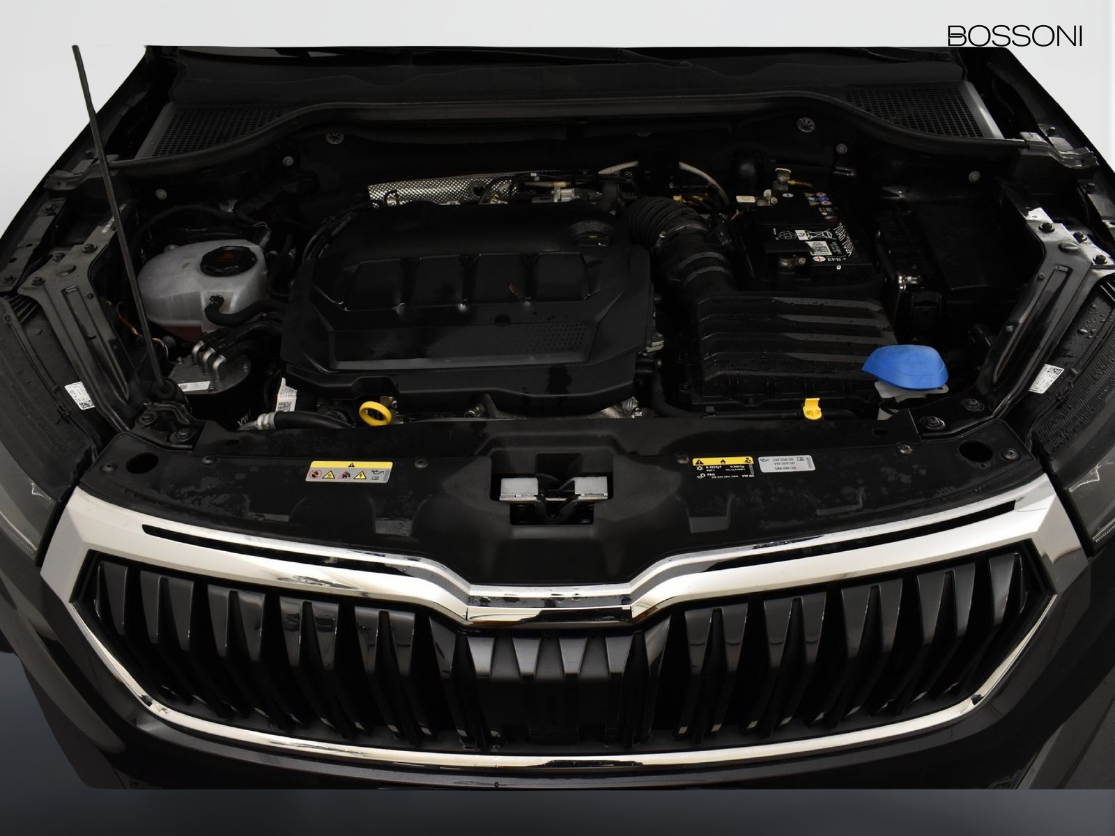 11 - Skoda Karoq 2.0 tdi evo scr 115cv executive dsg