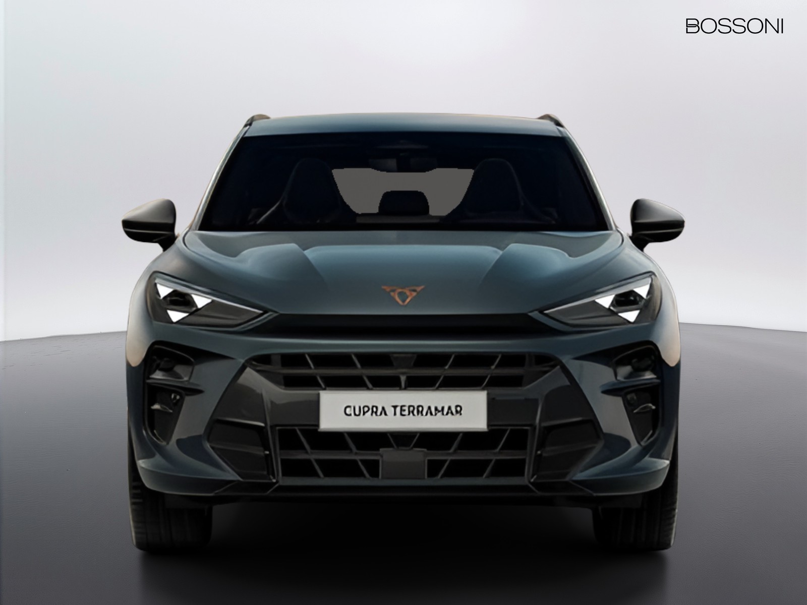 2 - Cupra Terramar 1.5 e-hybrid 204cv dsg