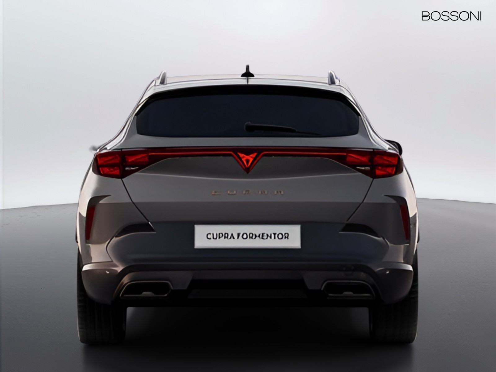 4 - CUPRA Formentor 2.0 tdi 150cv dsg