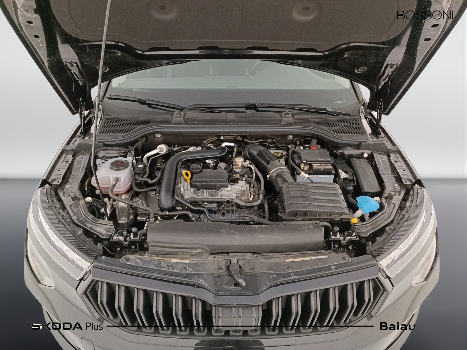 32 - Skoda Kamiq 1.0 tsi 115cv black dots dsg