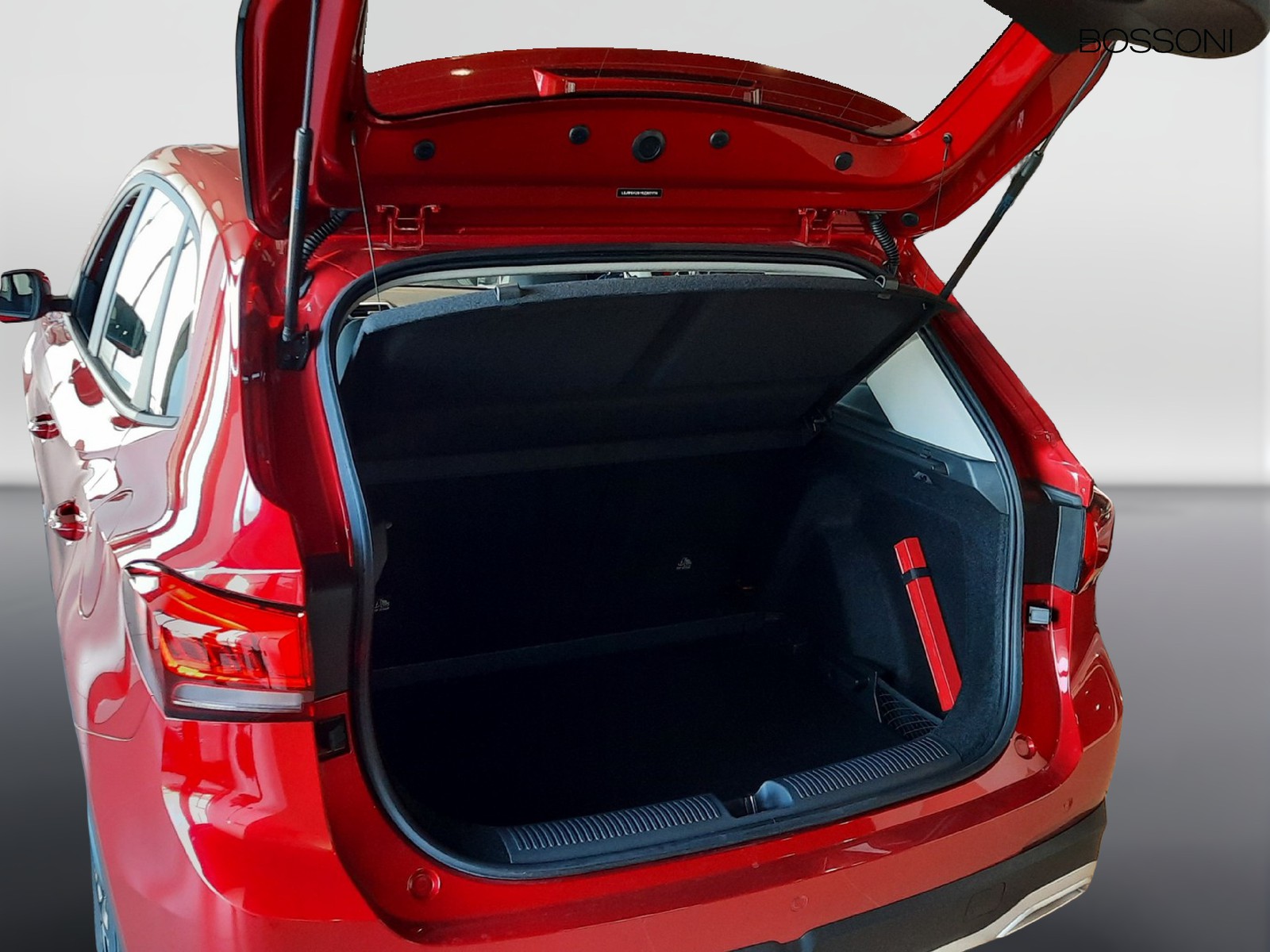 15 - Mg ZS 1.5 standard