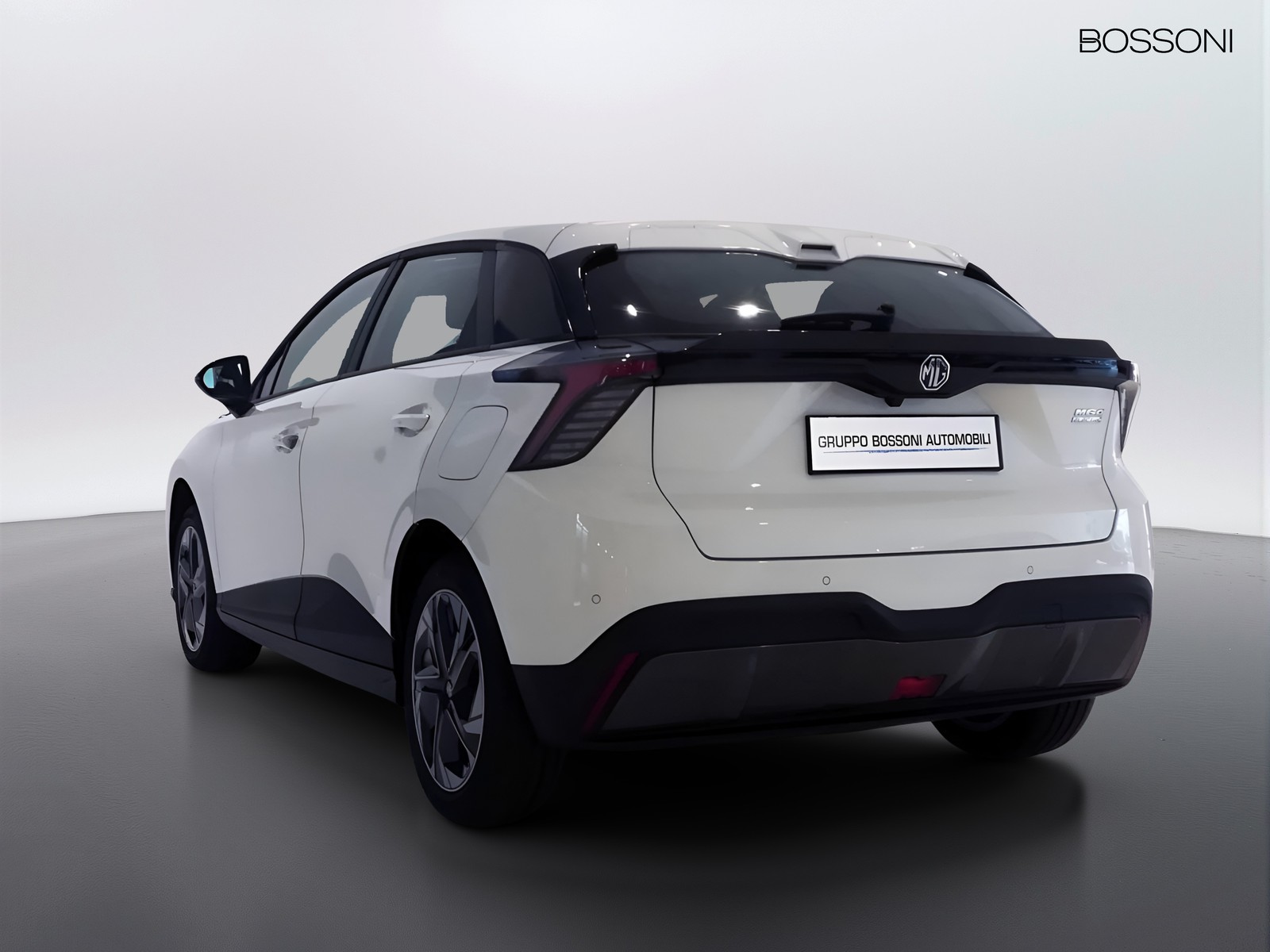 5 - Mg MG4 standard49