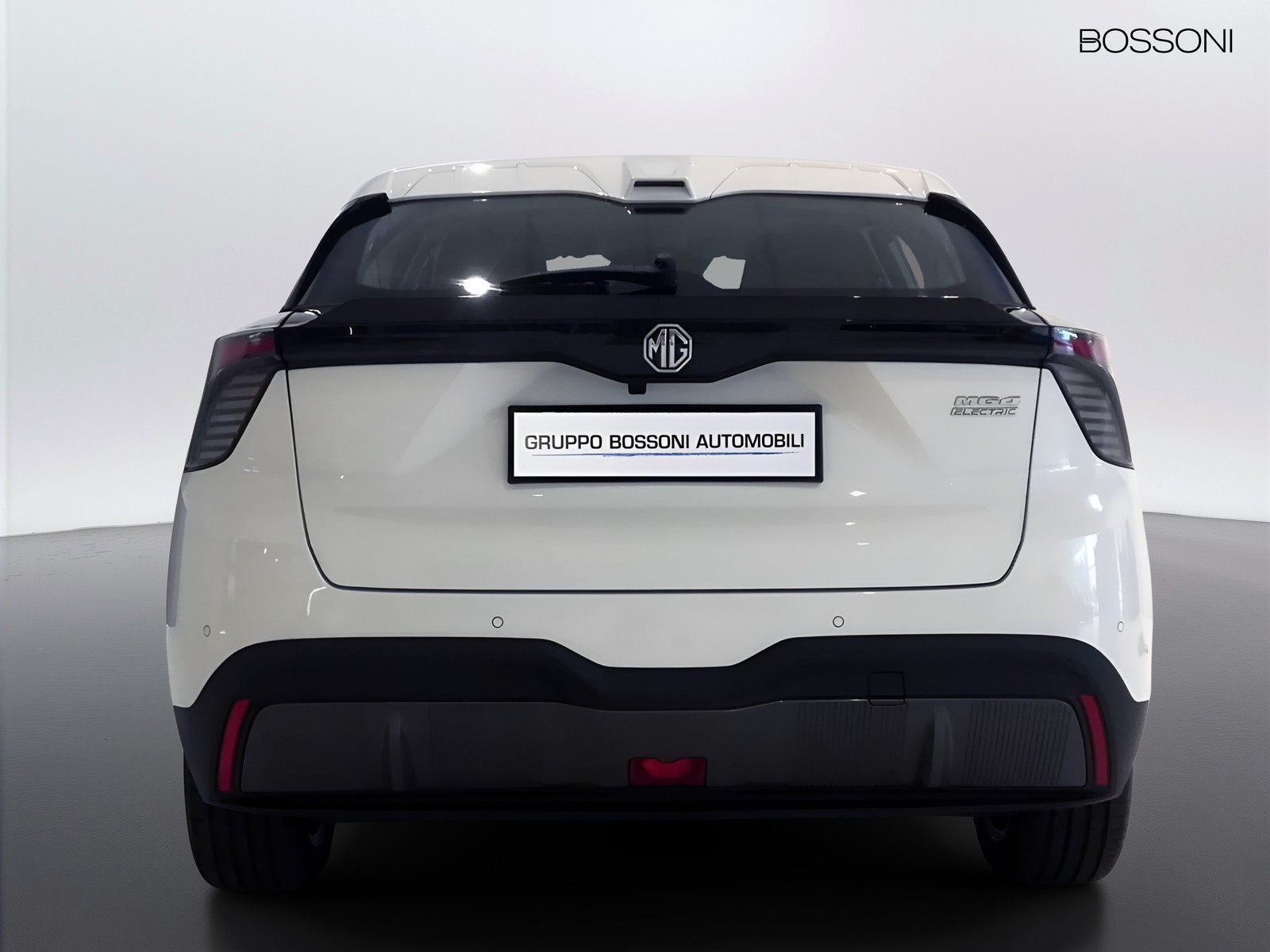 6 - Mg MG4 standard49