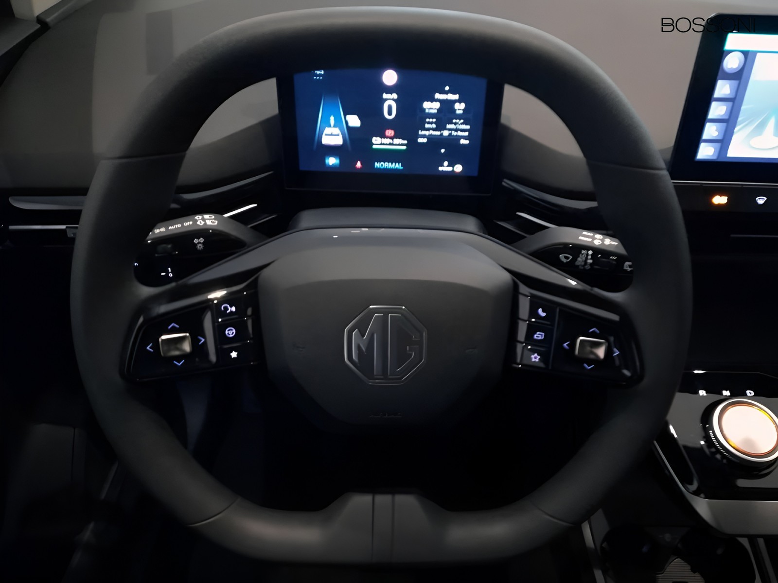 8 - Mg MG4 standard49