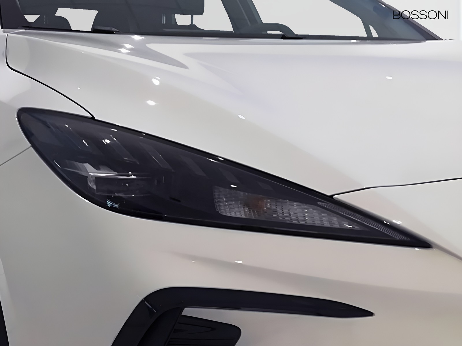 22 - Mg MG4 standard49