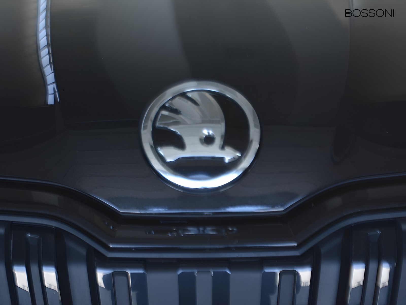 21 - Skoda Kamiq 1.0 tsi 95cv black dots