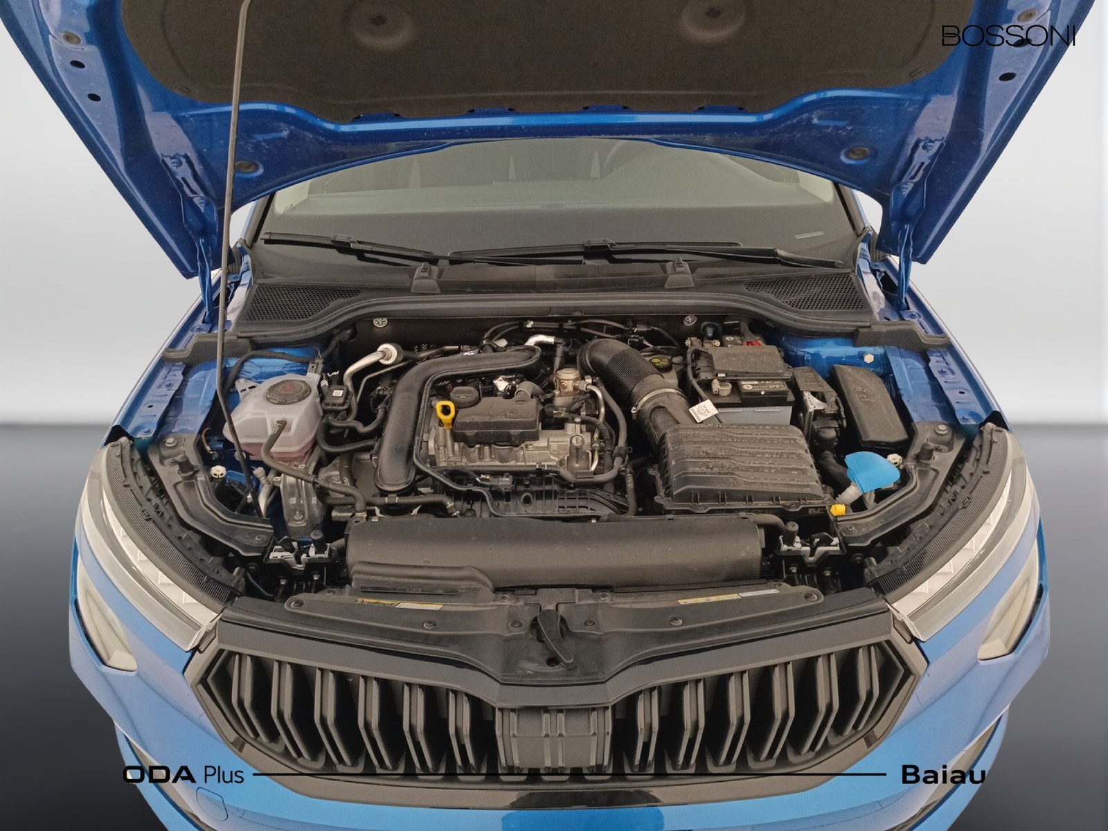 32 - Skoda Kamiq 1.0 tsi 115cv black dots dsg