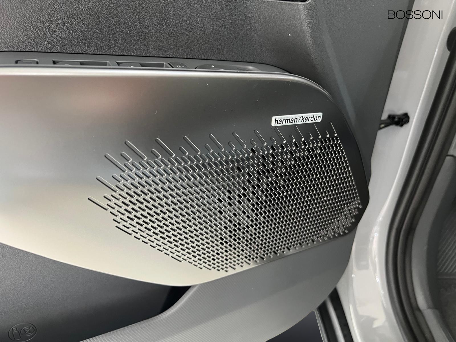 17 - Kia EV2 42,2 kwh earth