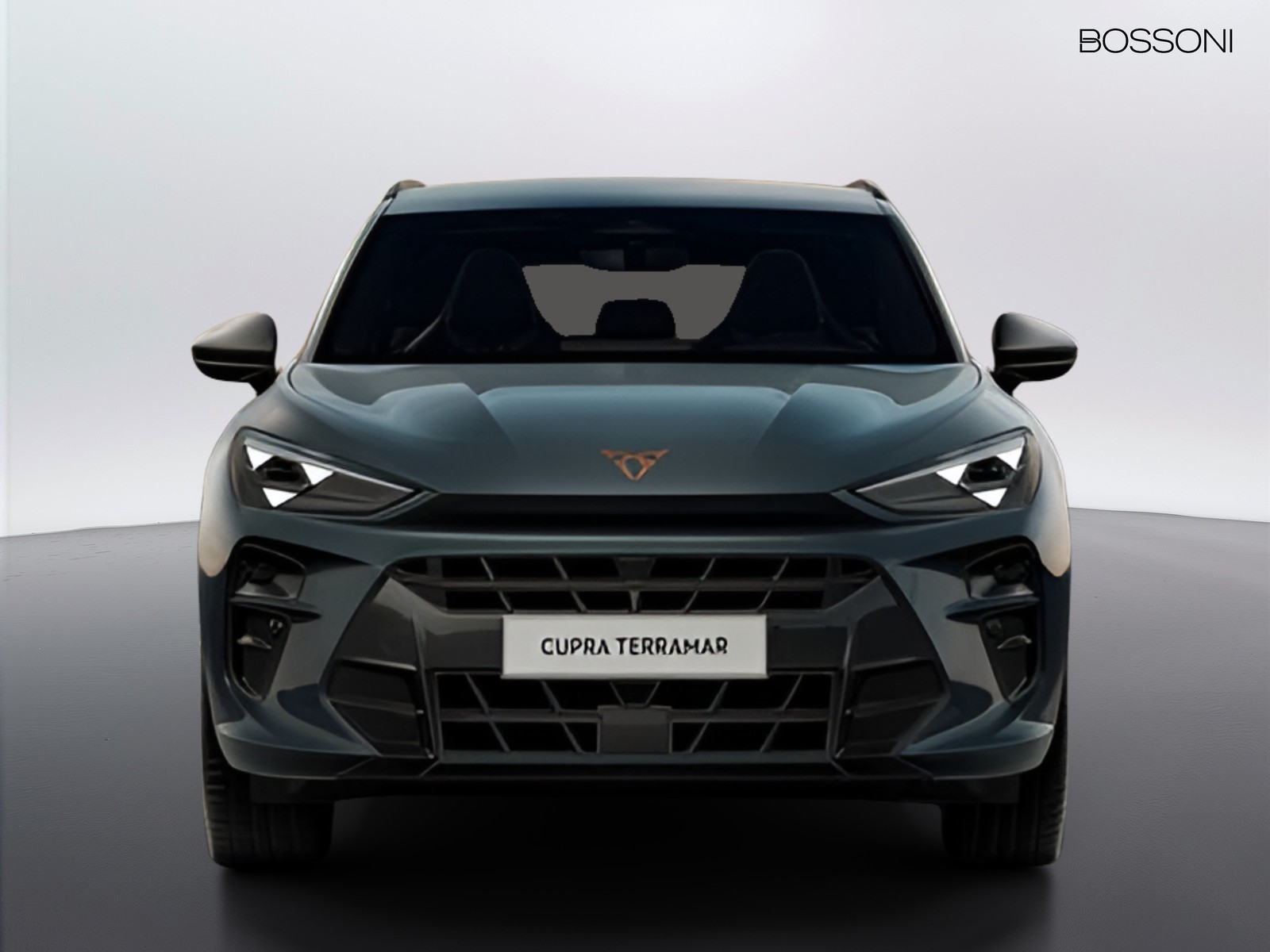 2 - Cupra Terramar 1.5 hybrid 150cv