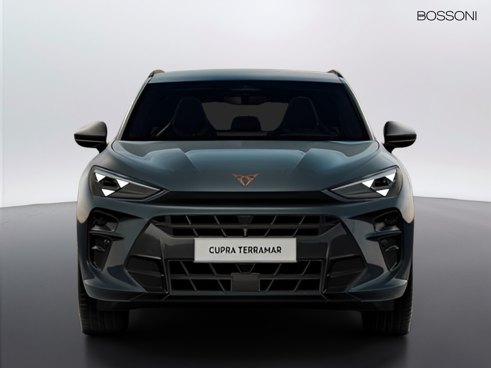 2 - Cupra Terramar 1.5 hybrid 150cv