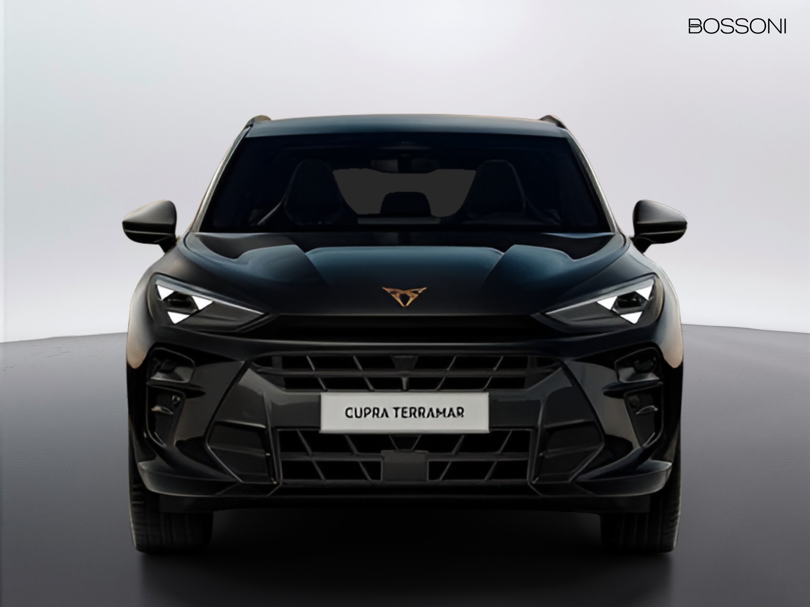 2 - Cupra Terramar 1.5 hybrid 150cv