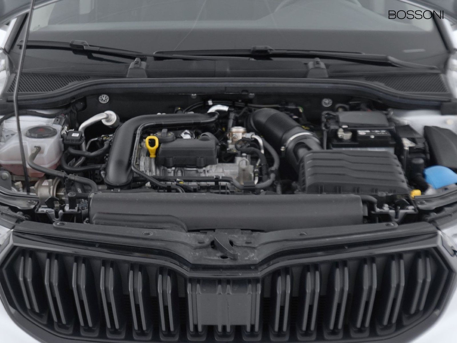 11 - Skoda Kamiq 1.0 tsi 115cv black dots dsg