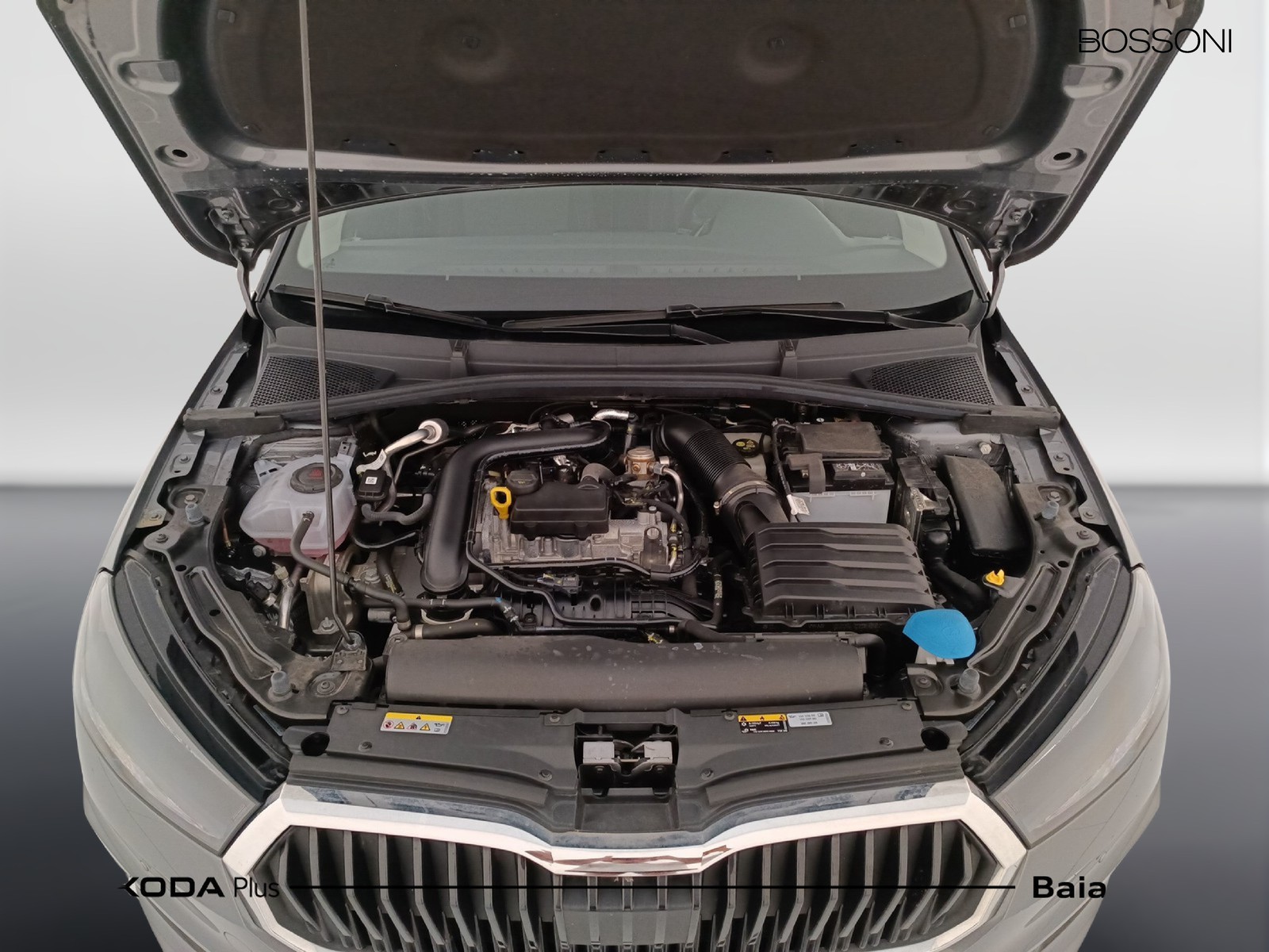 29 - Skoda Fabia 1.0 tsi evo 95cv style