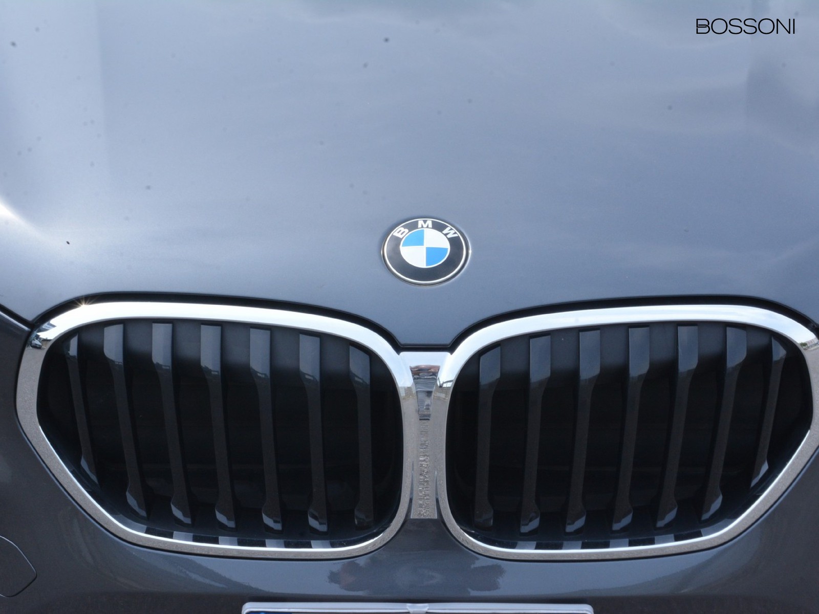 21 - BMW X1 25e xdrive business advantage steptronic