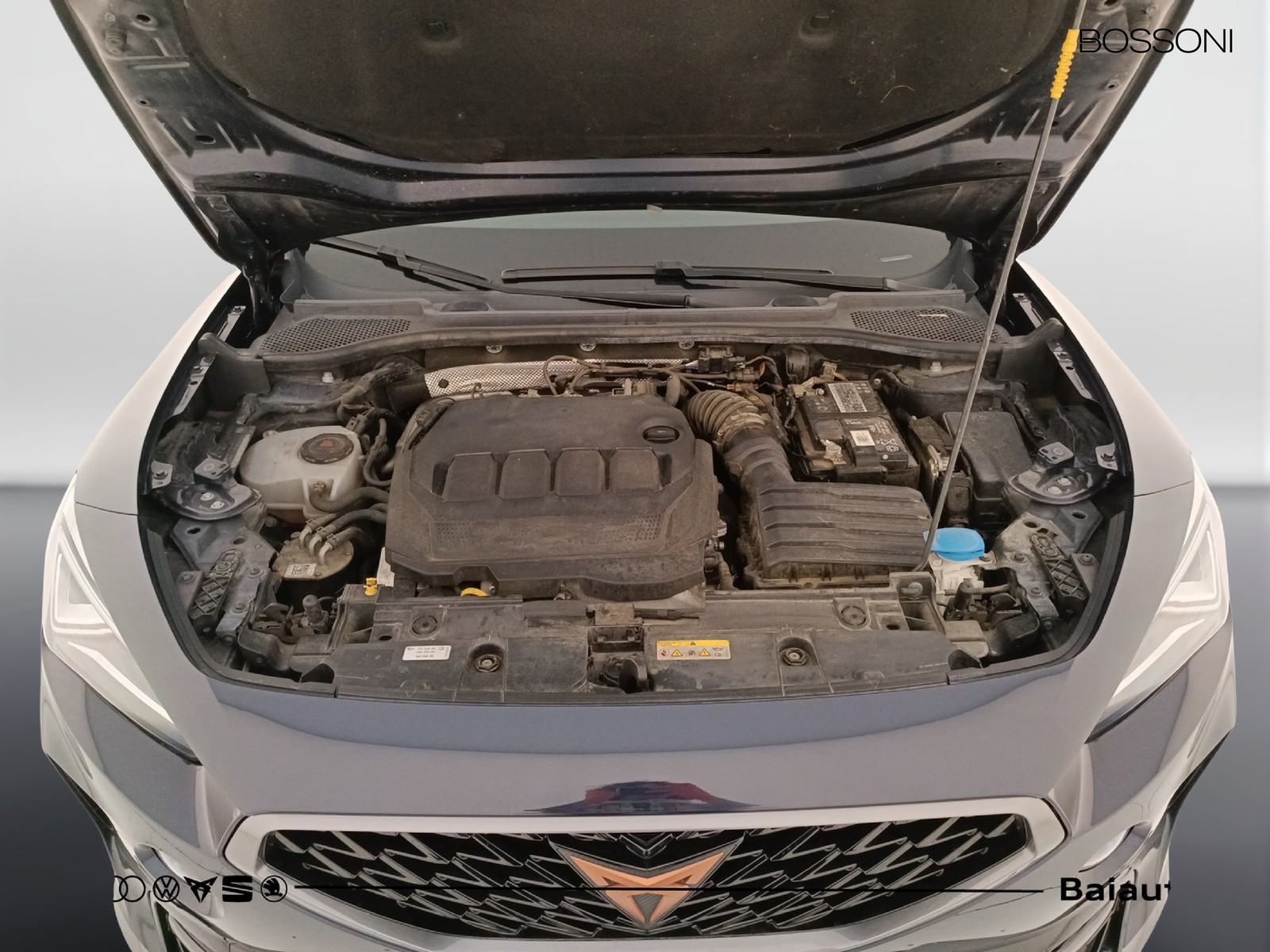 29 - Cupra Formentor 2.0 tdi 150cv 4drive