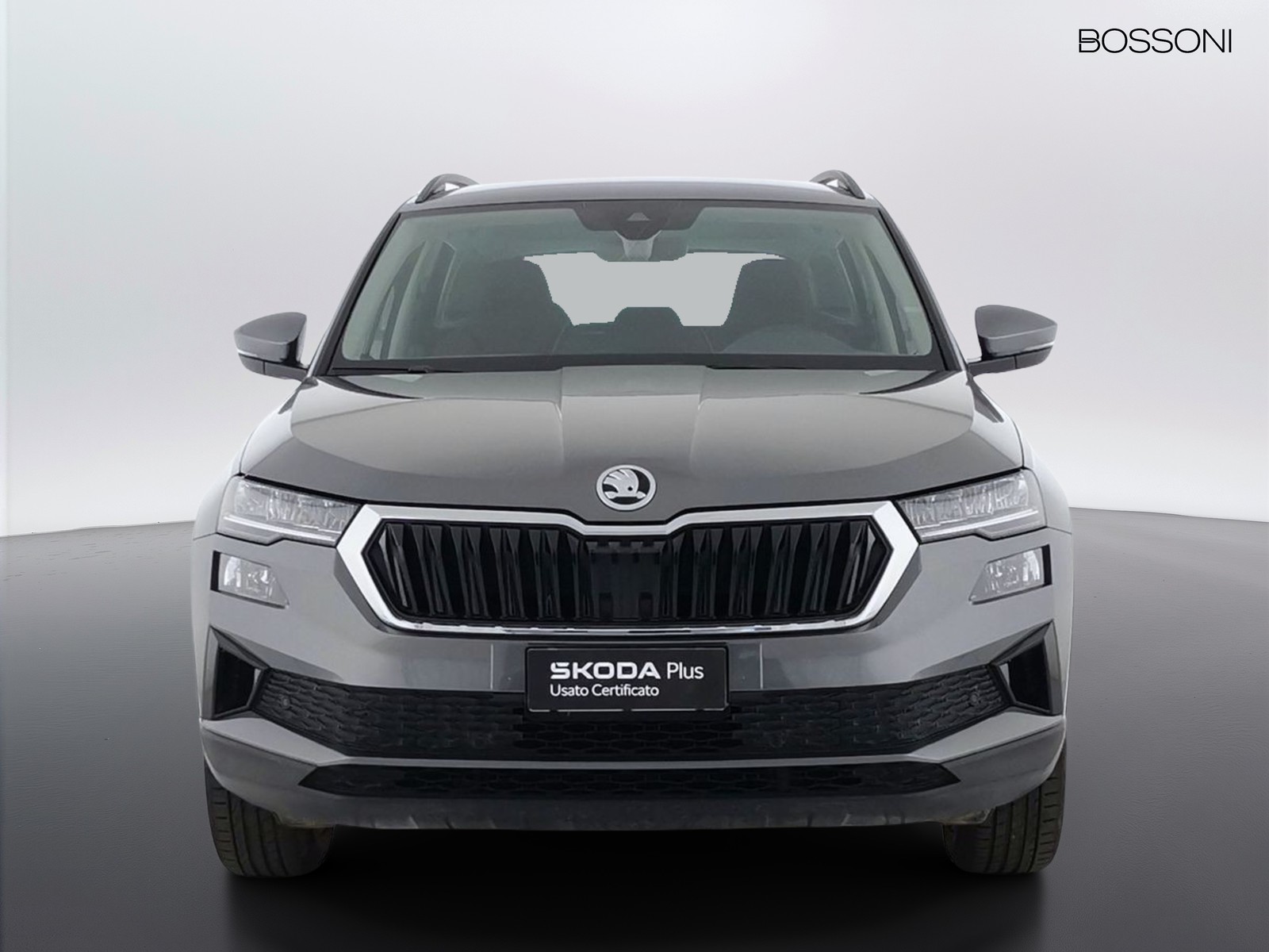 2 - Skoda Karoq 2.0 tdi evo scr 115cv executive