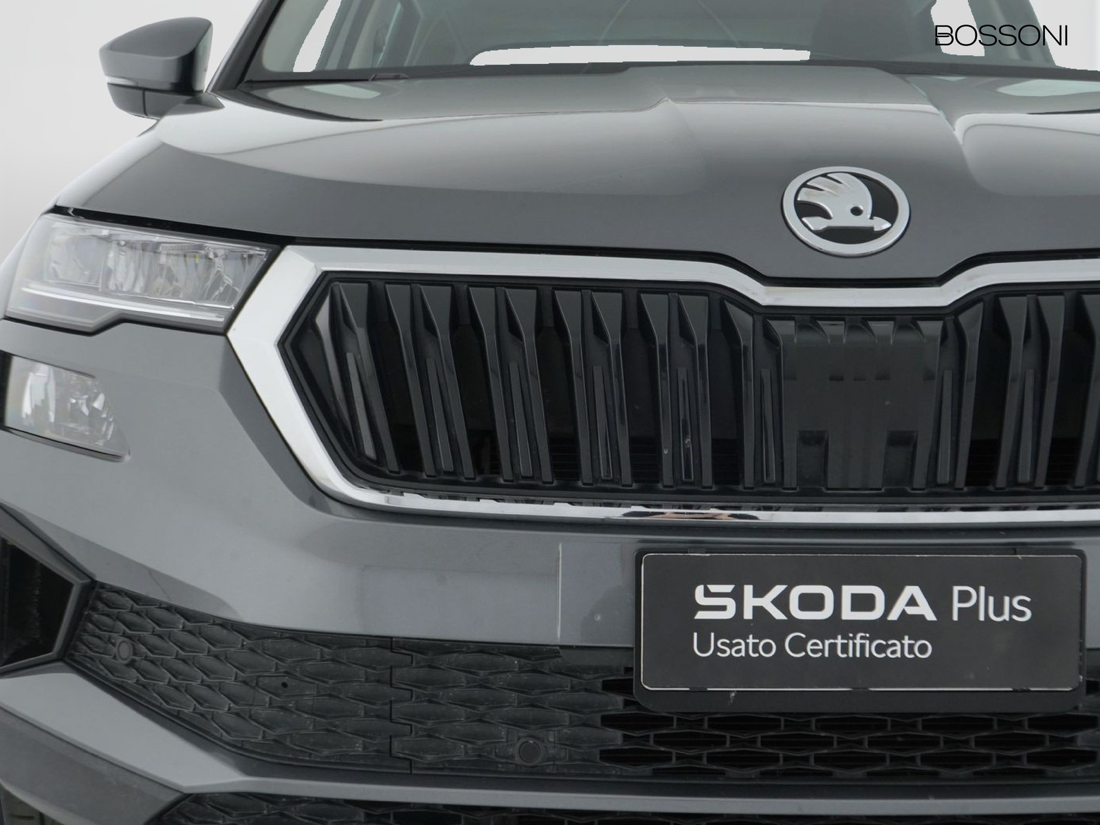 14 - Skoda Karoq 2.0 tdi evo scr 115cv executive