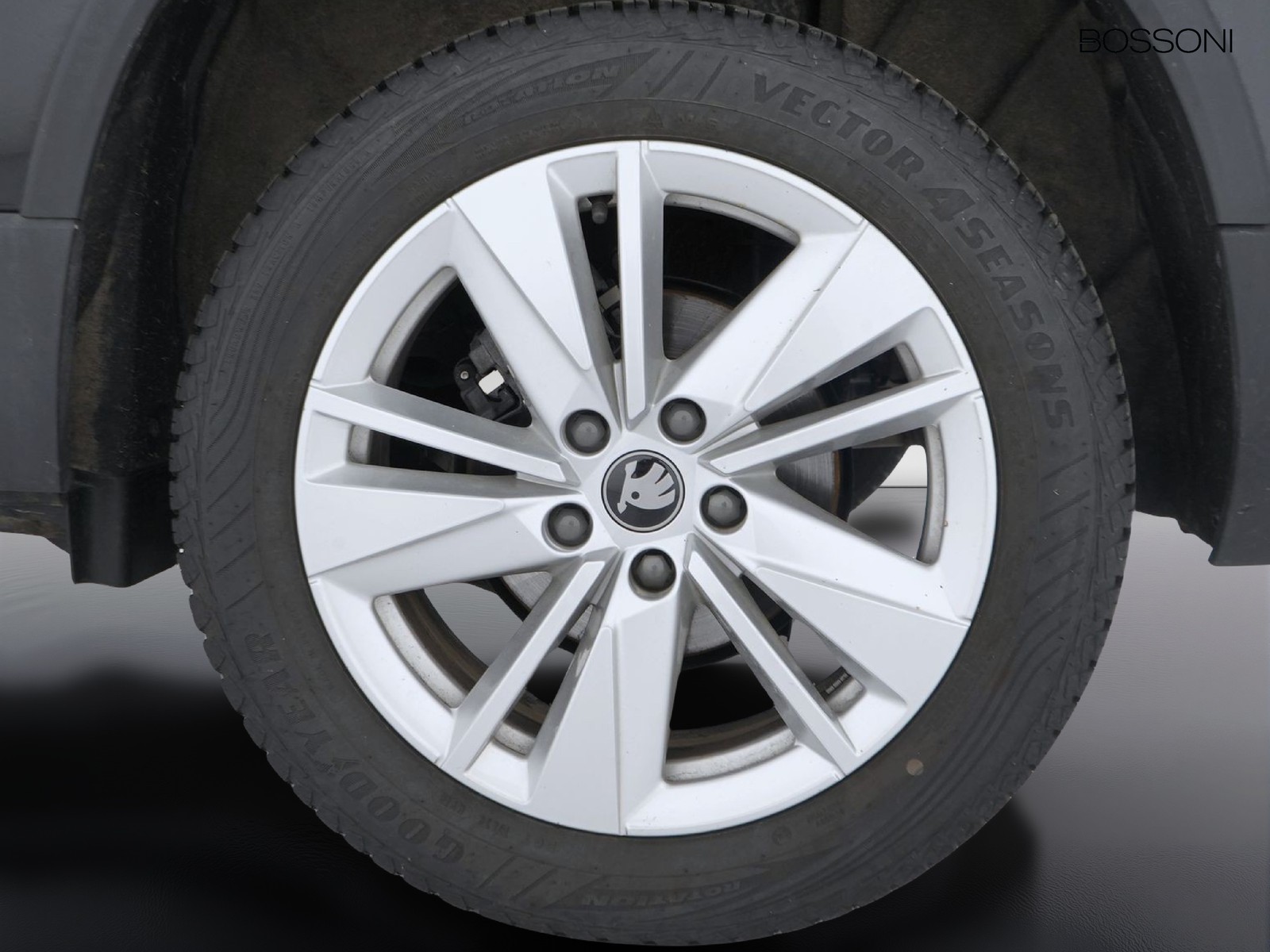 12 - Skoda Karoq 2.0 tdi evo scr 150cv executive dsg