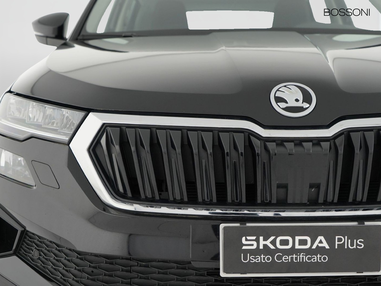 14 - Skoda Karoq 2.0 tdi evo scr 150cv executive dsg
