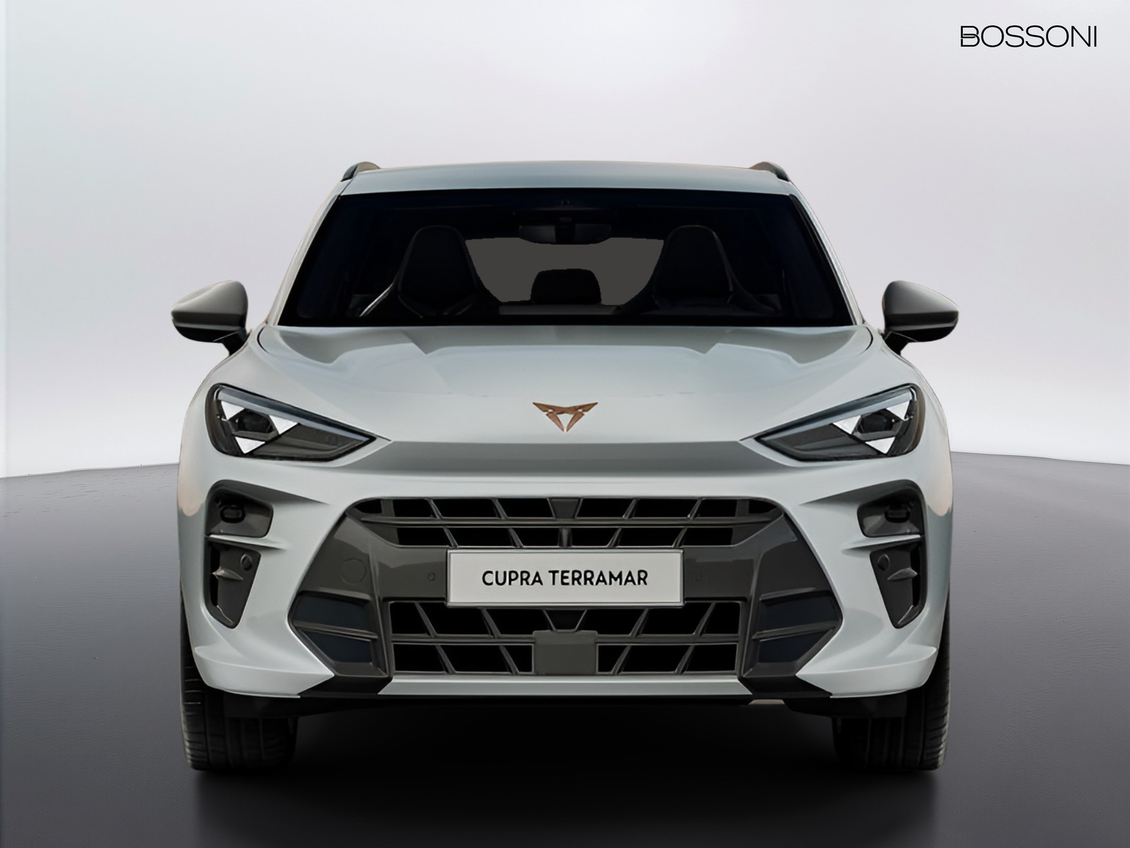 6 - Cupra Terramar 1.5 hybrid 150cv