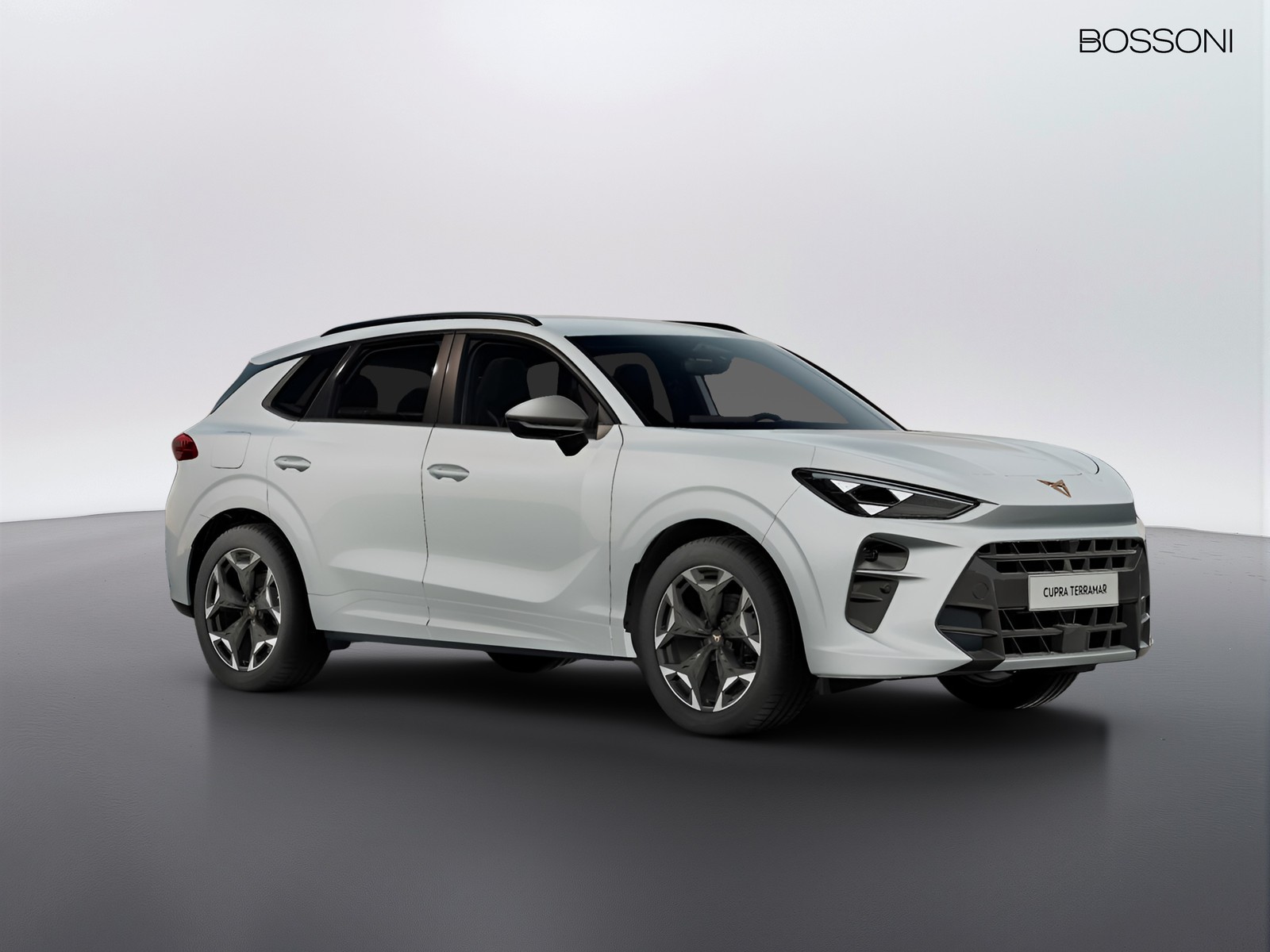 12 - Cupra Terramar 1.5 hybrid 150cv