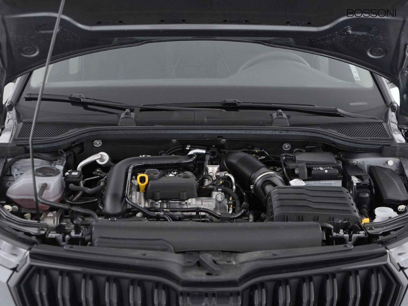 11 - Skoda Kamiq 1.0 tsi 115cv black dots dsg
