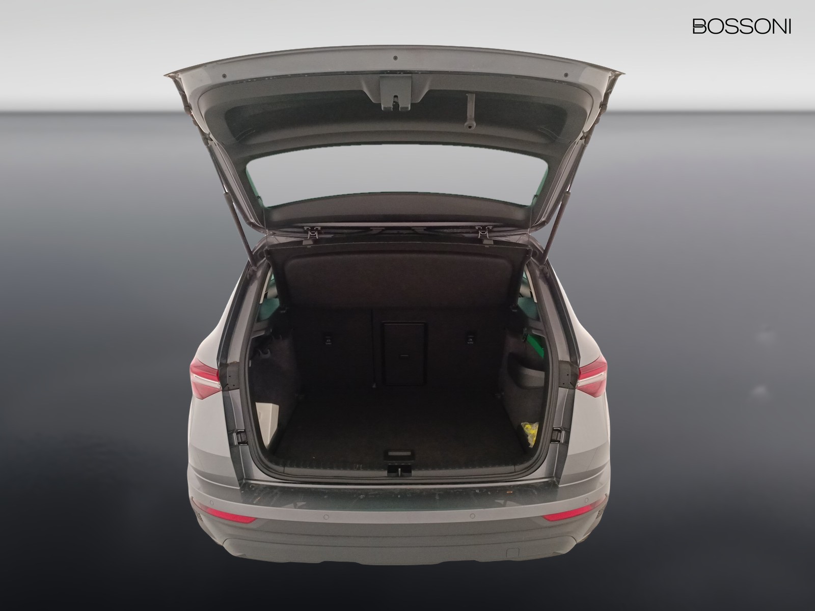 30 - Skoda Karoq 2.0 tdi evo scr 115cv executive
