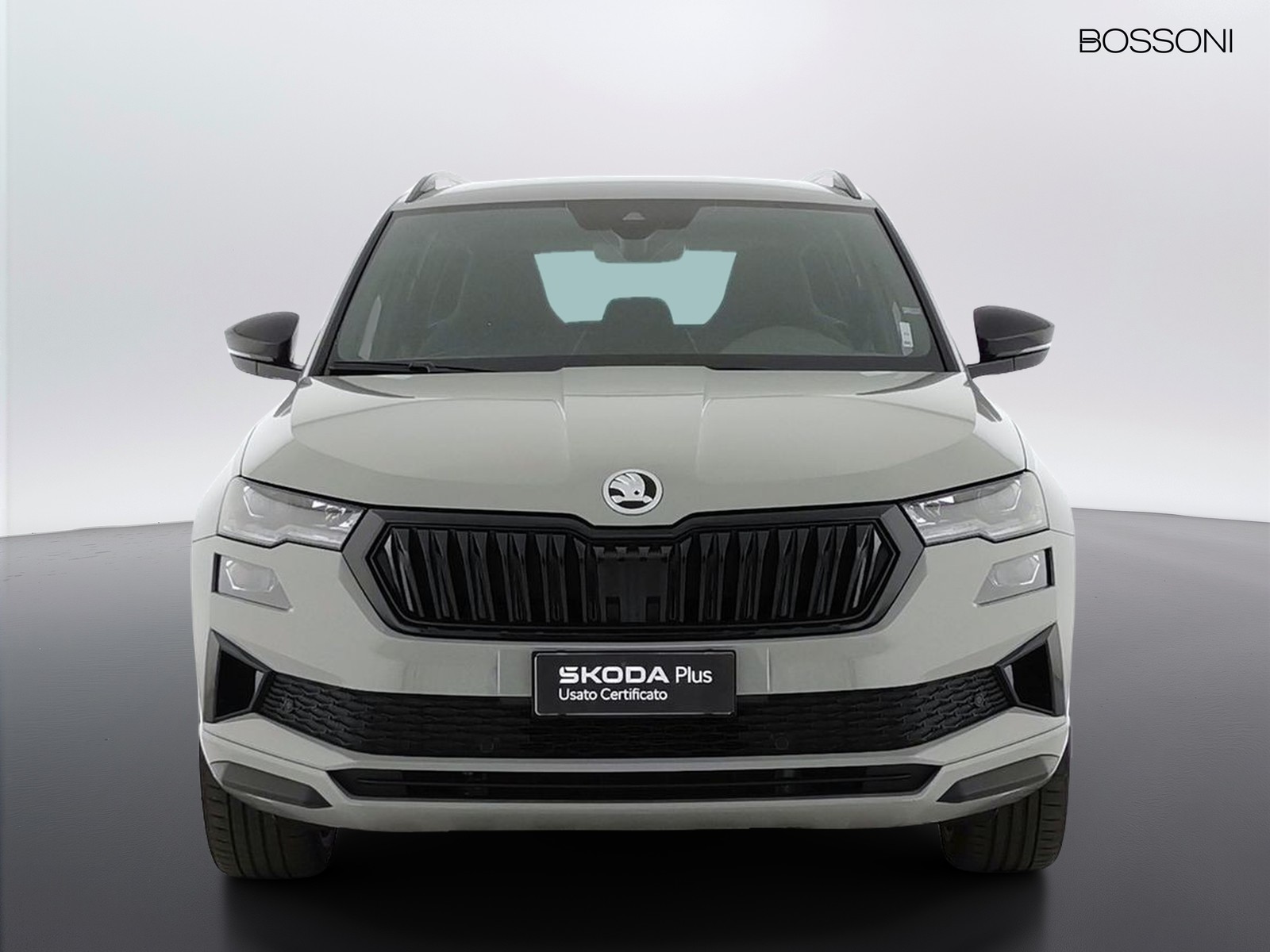 2 - Skoda Karoq 2.0 tdi evo scr 150cv sportline dsg