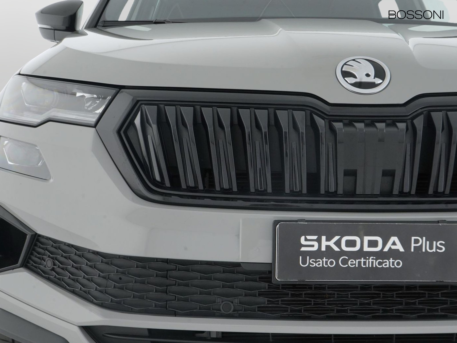 14 - Skoda Karoq 2.0 tdi evo scr 150cv sportline dsg