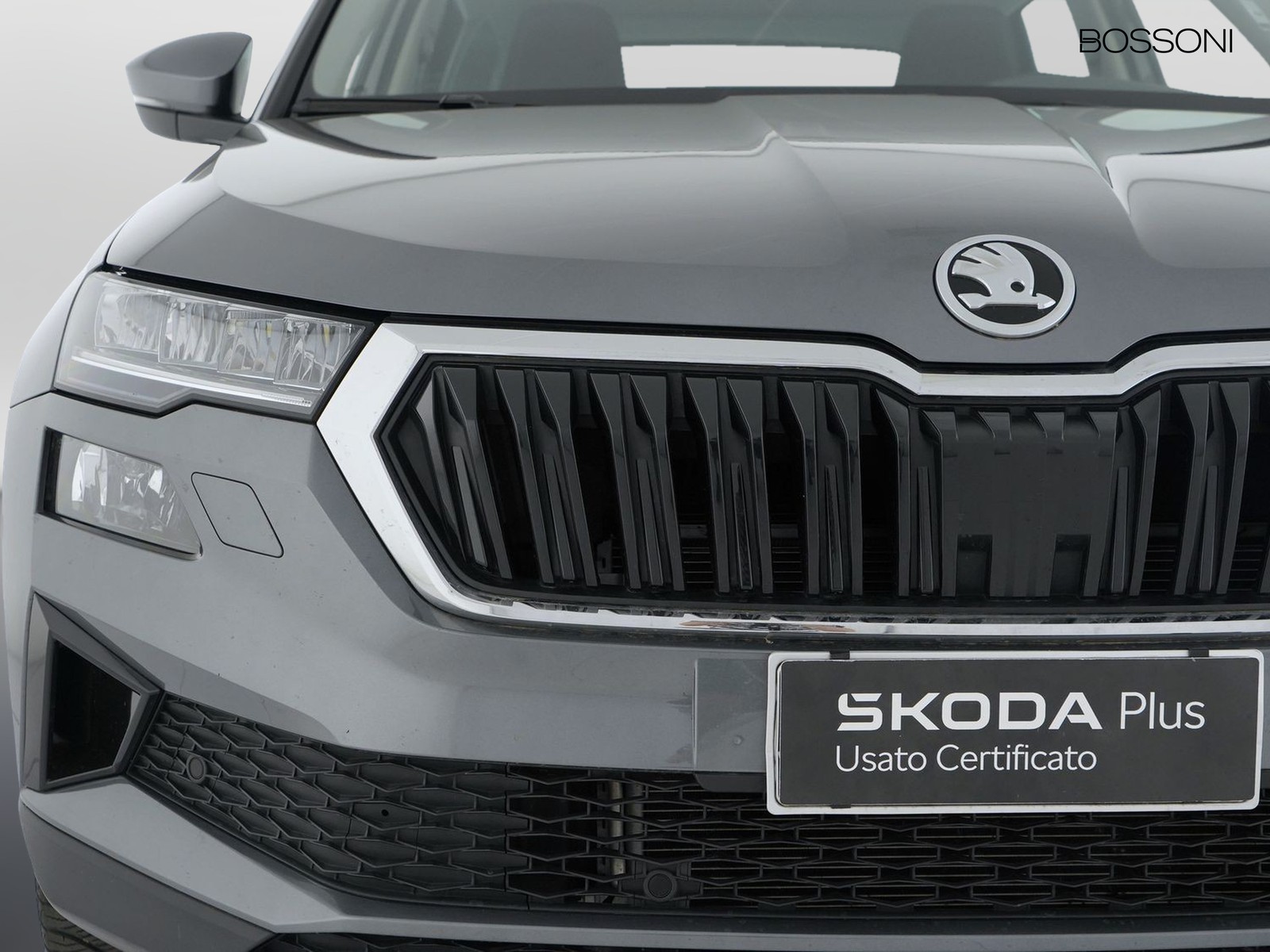 14 - Skoda Karoq 2.0 tdi evo scr 150cv executive dsg