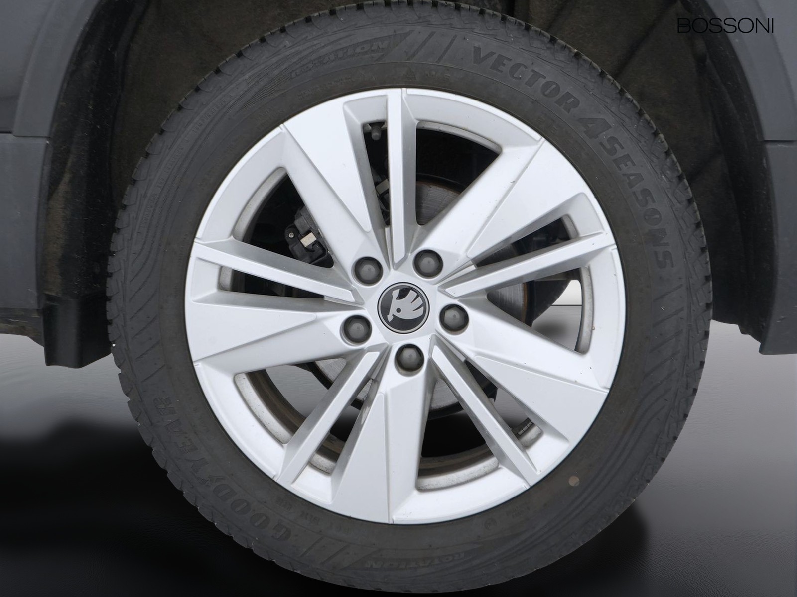 12 - Skoda Karoq 2.0 tdi evo scr 150cv executive dsg