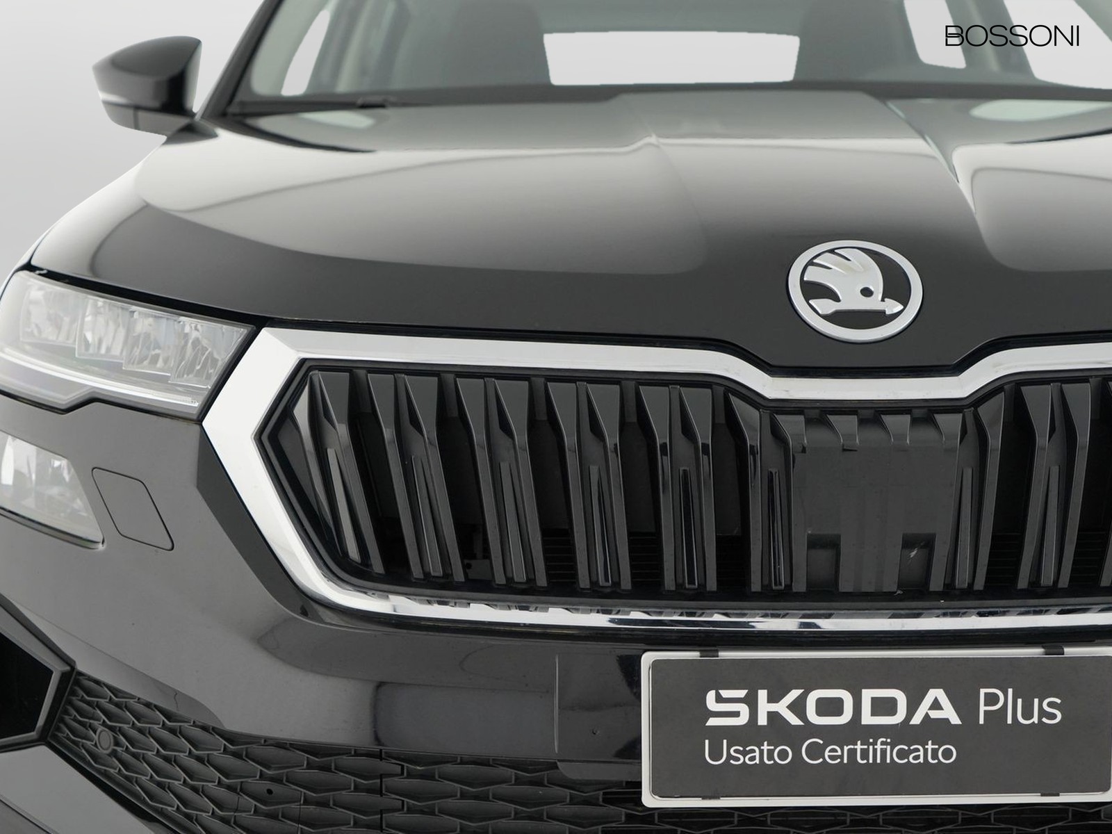 14 - Skoda Karoq 2.0 tdi evo scr 150cv executive dsg