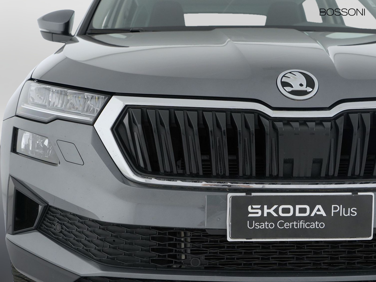 14 - Skoda Karoq 2.0 tdi evo scr 150cv executive dsg