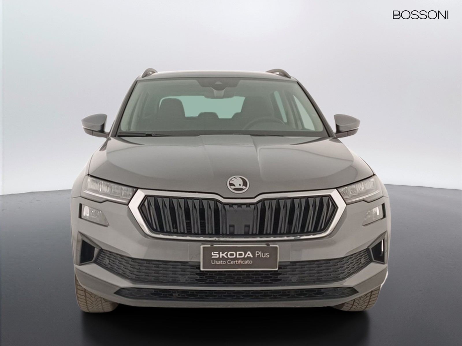 2 - Skoda Karoq 2.0 tdi evo scr 115cv executive