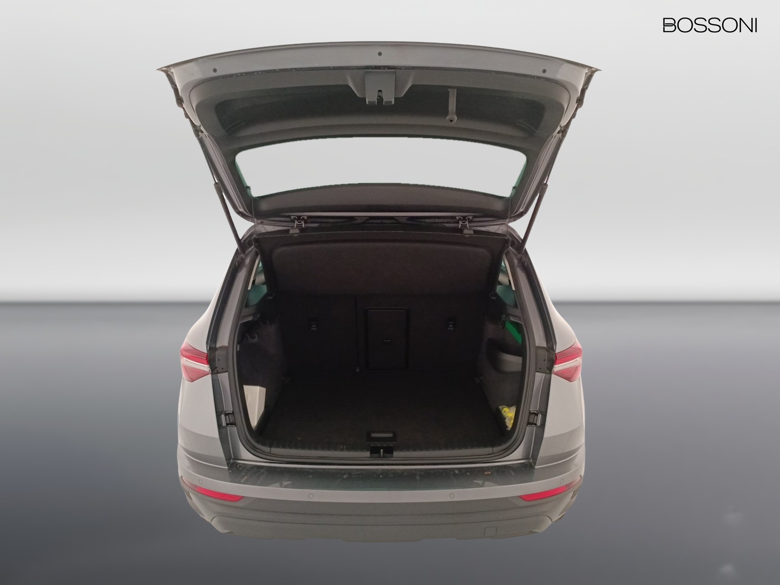 30 - Skoda Karoq 2.0 tdi evo scr 115cv executive