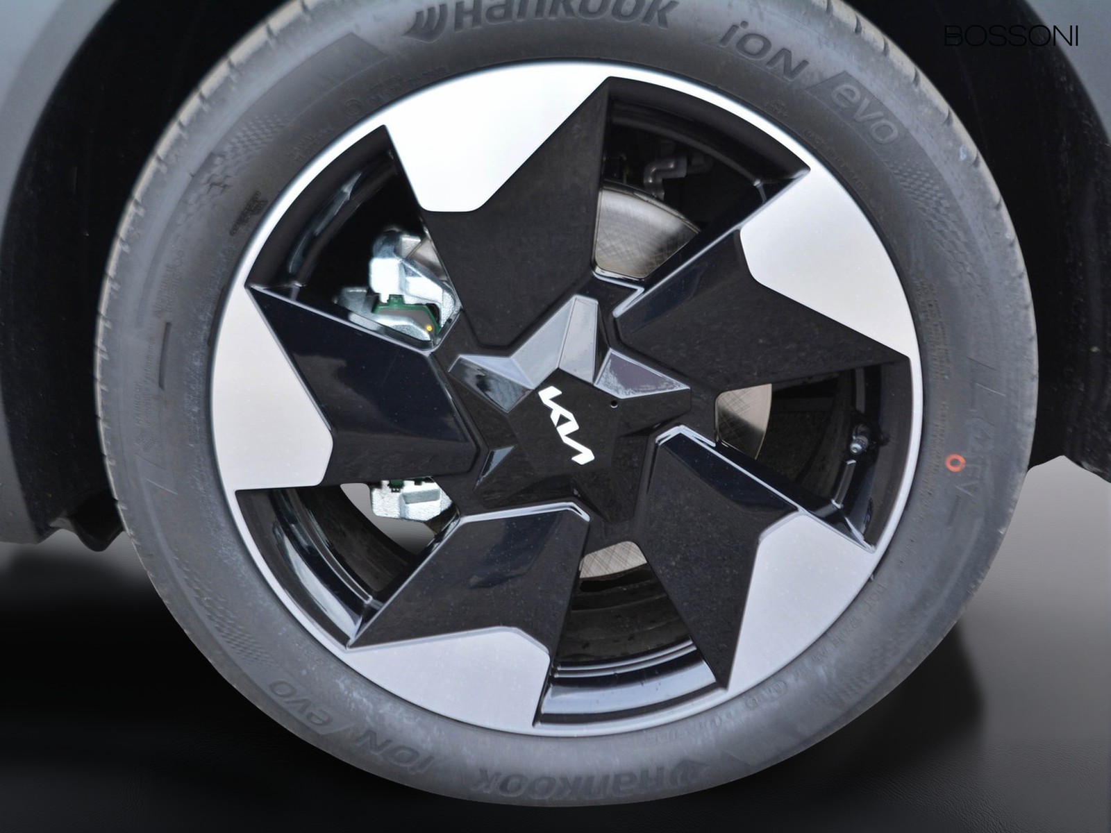 17 - Kia EV2 42,2 kwh earth obc 22kw