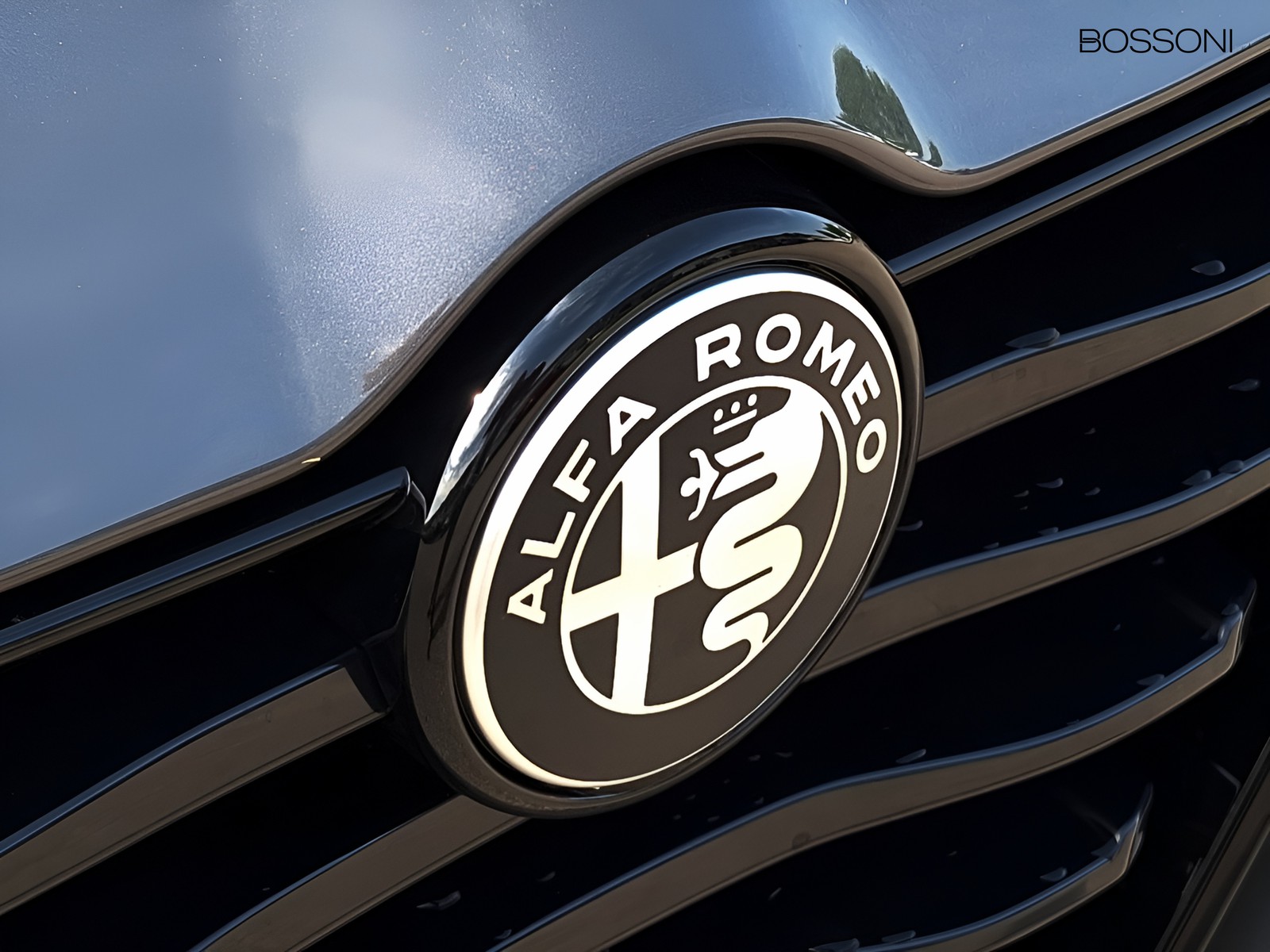 24 - Alfa Romeo Tonale 1.6 130cv sprint tct6