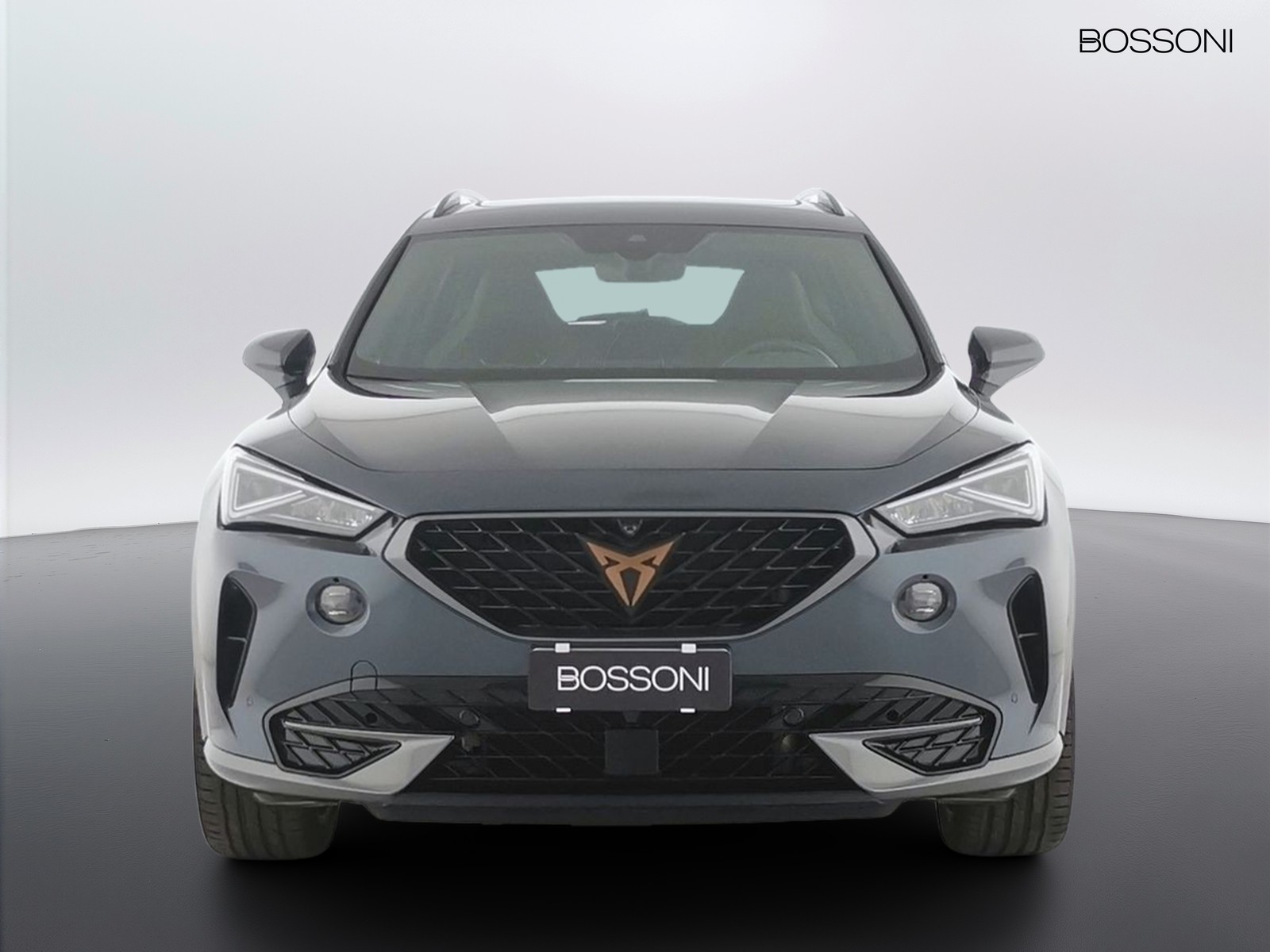 2 - CUPRA Formentor 2.0 tsi 190cv 4drive dsg