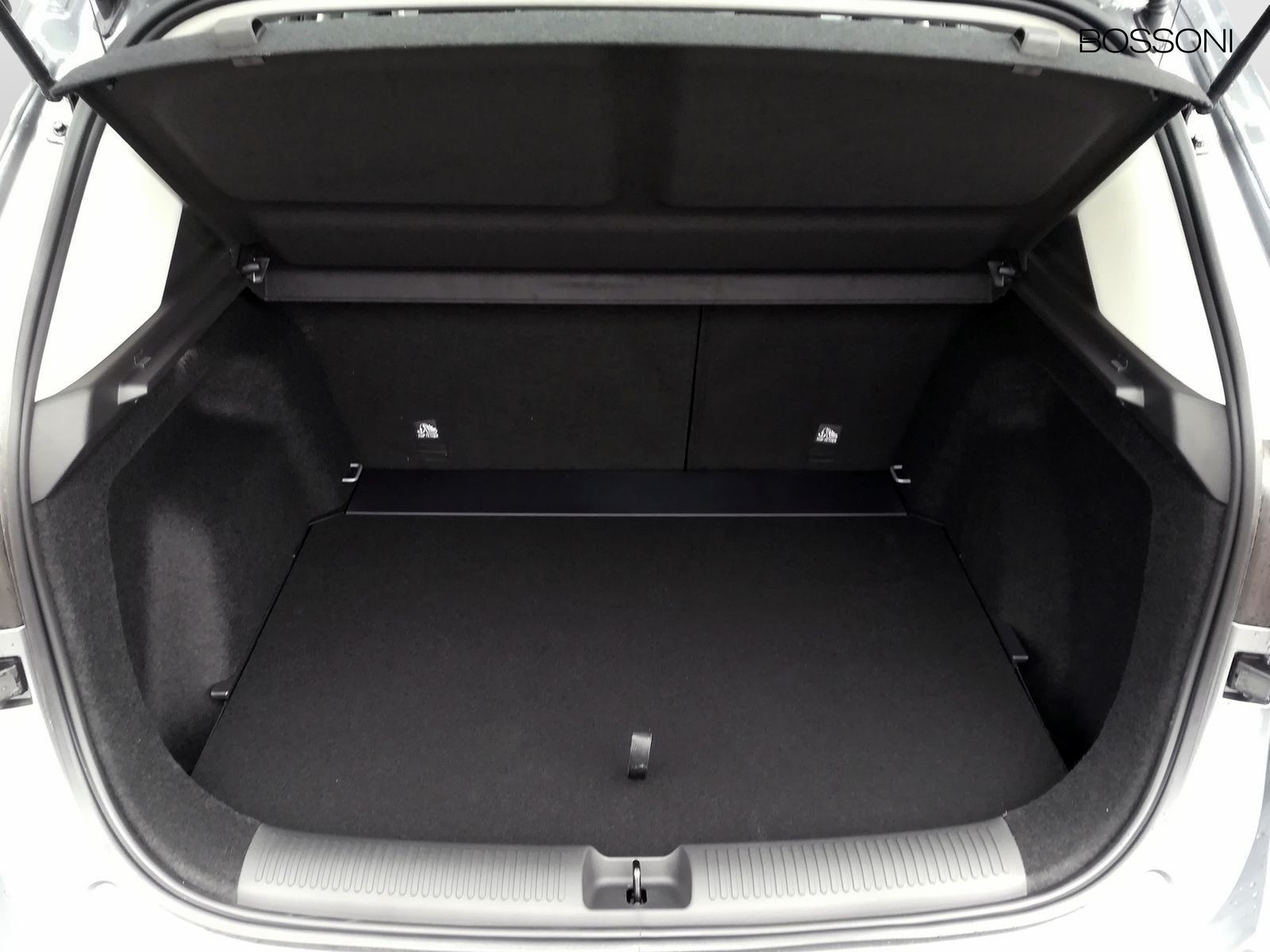 6 - Mg ZS 1.5 standard