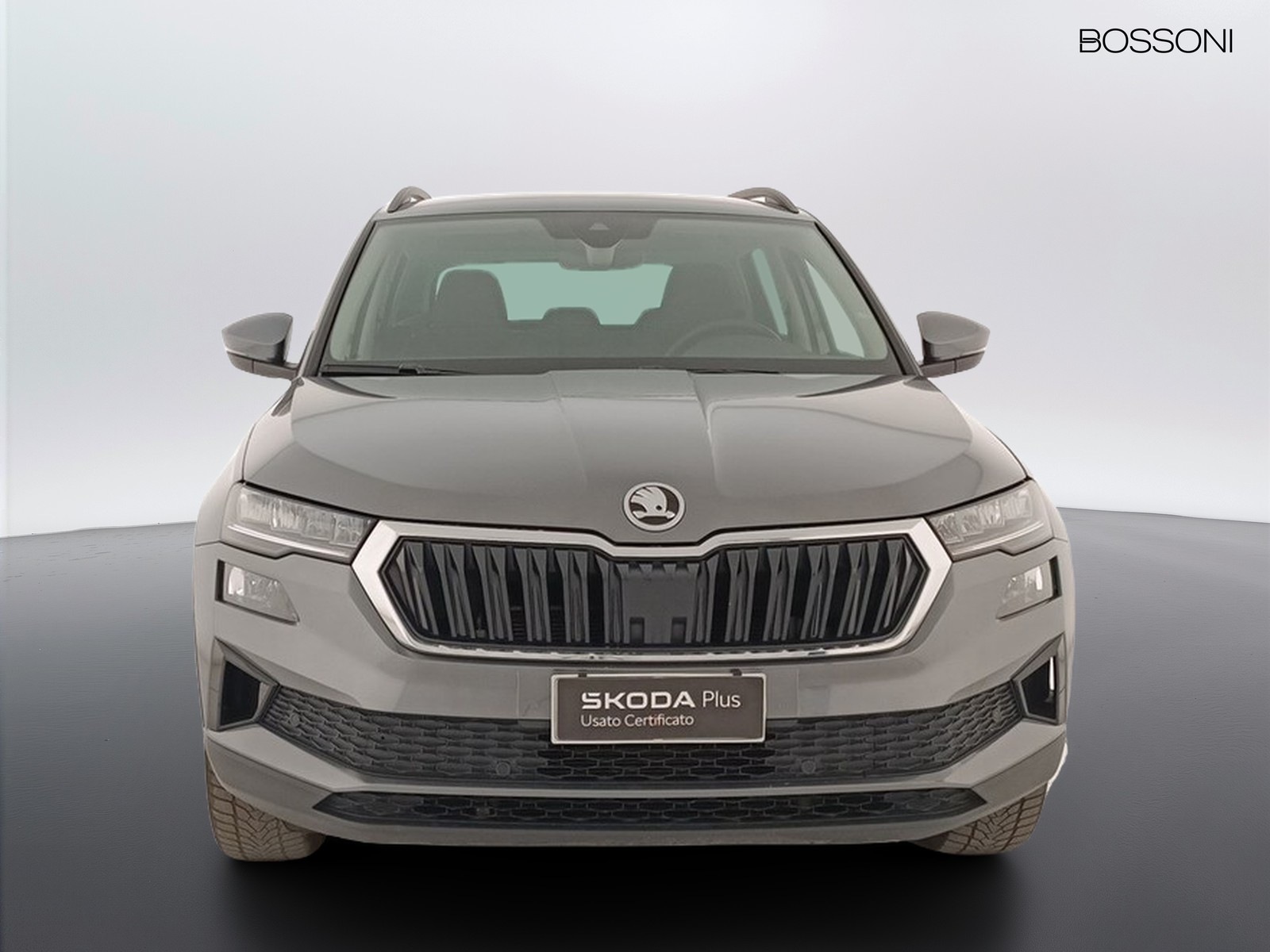 2 - Skoda Karoq 2.0 tdi evo scr 115cv executive