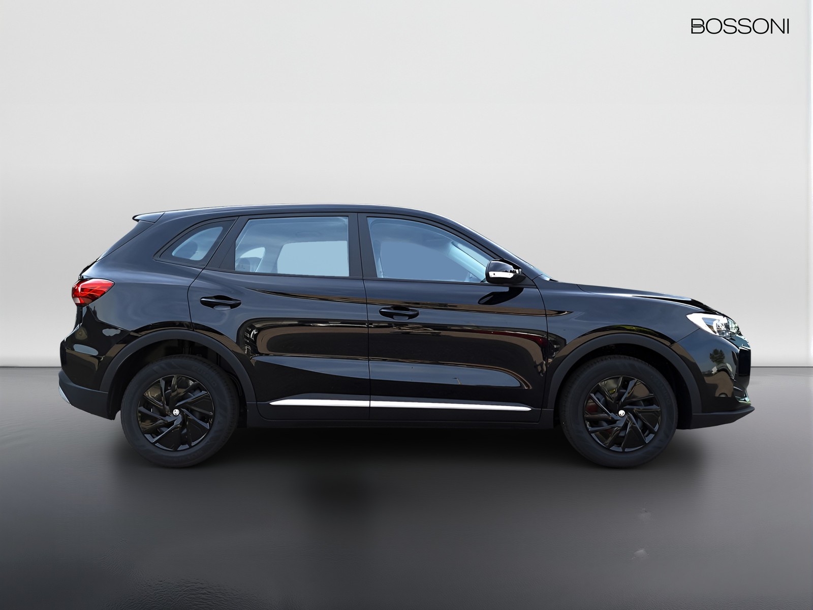 4 - Mg ZS 1.5 standard