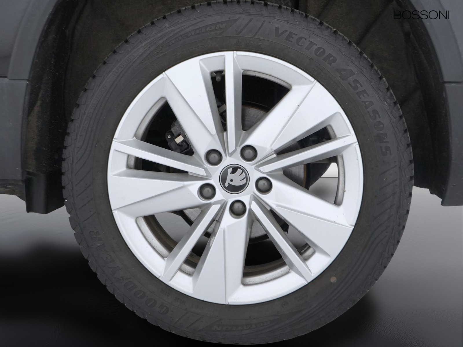 12 - Skoda Karoq 2.0 tdi evo scr 150cv executive dsg